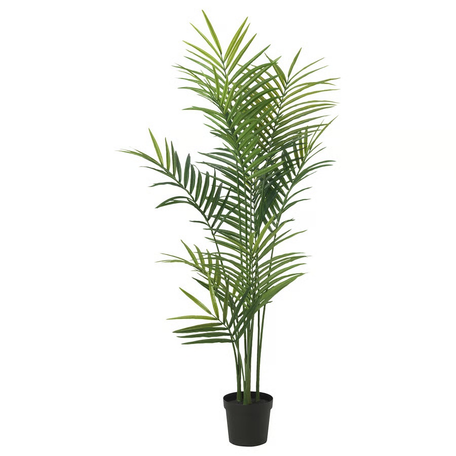 🌴 Large Artificial Kentia Palm with White Pot – Like New - photo 5