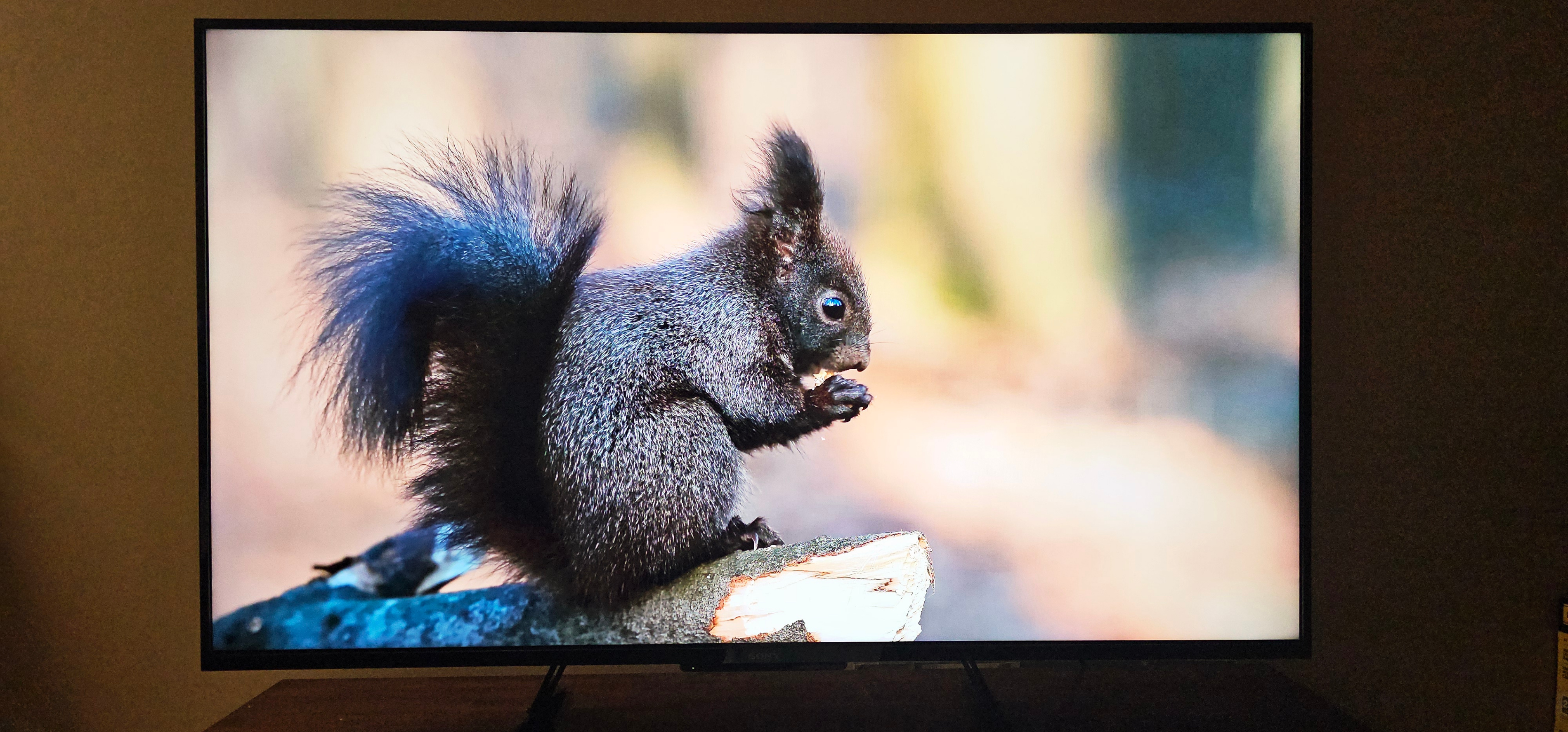 Sony 60" Smart 4K TV (KD-60X690E)