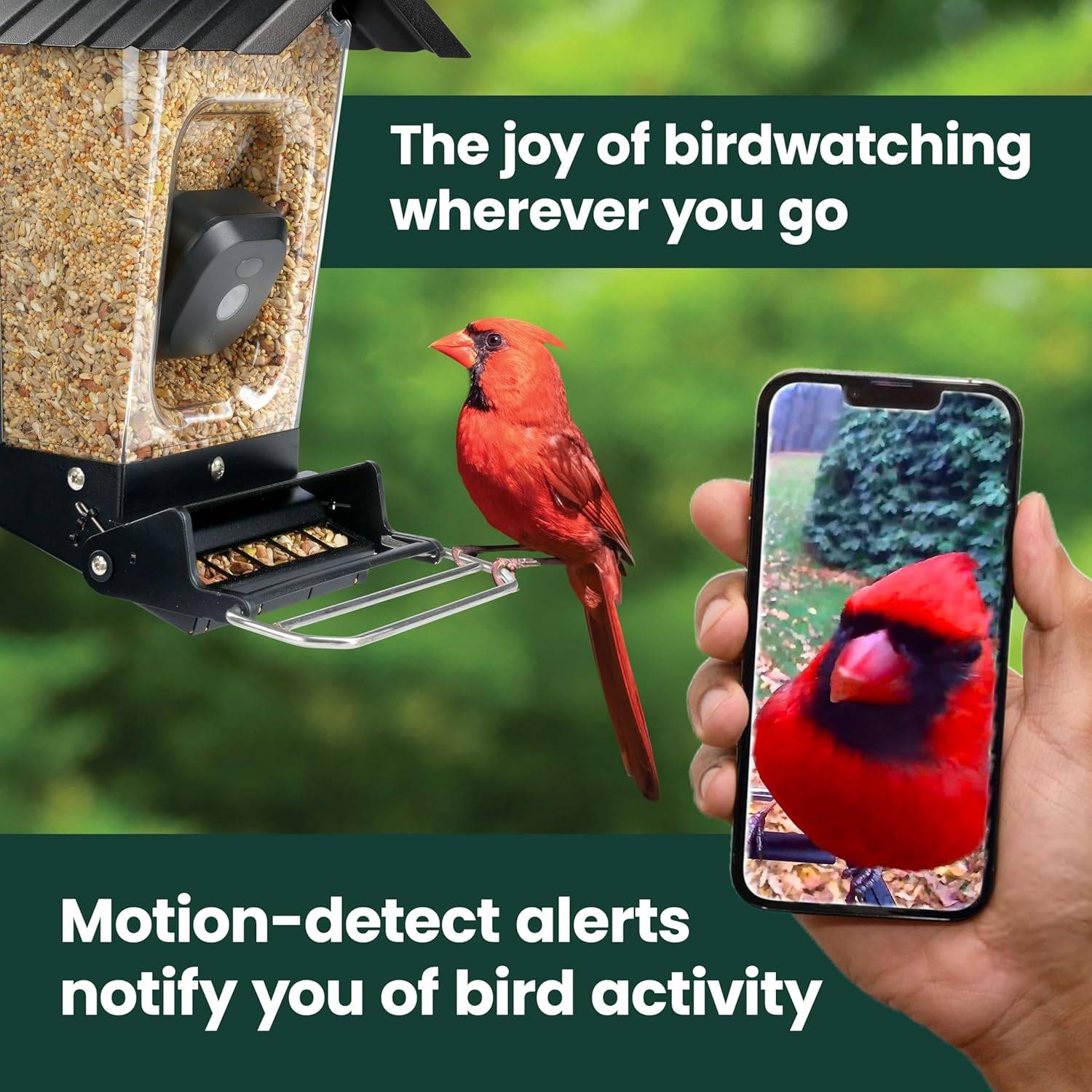 Solar Powered Smart Bird Feeder with Camera - photo 2
