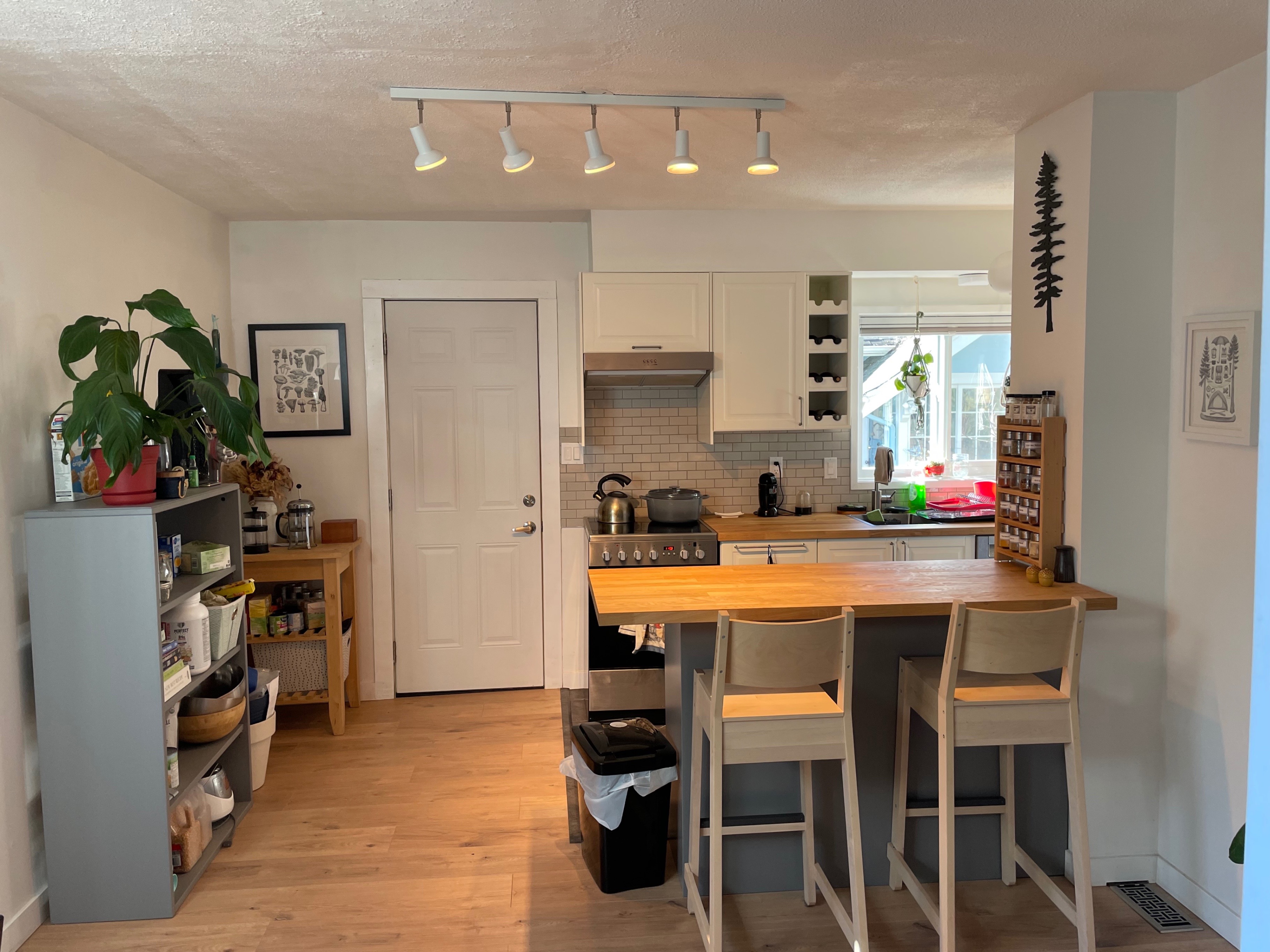 $3,050 / 2br - 900ft2 - Bright Updated 2BR Main-Floor Suite - photo 5