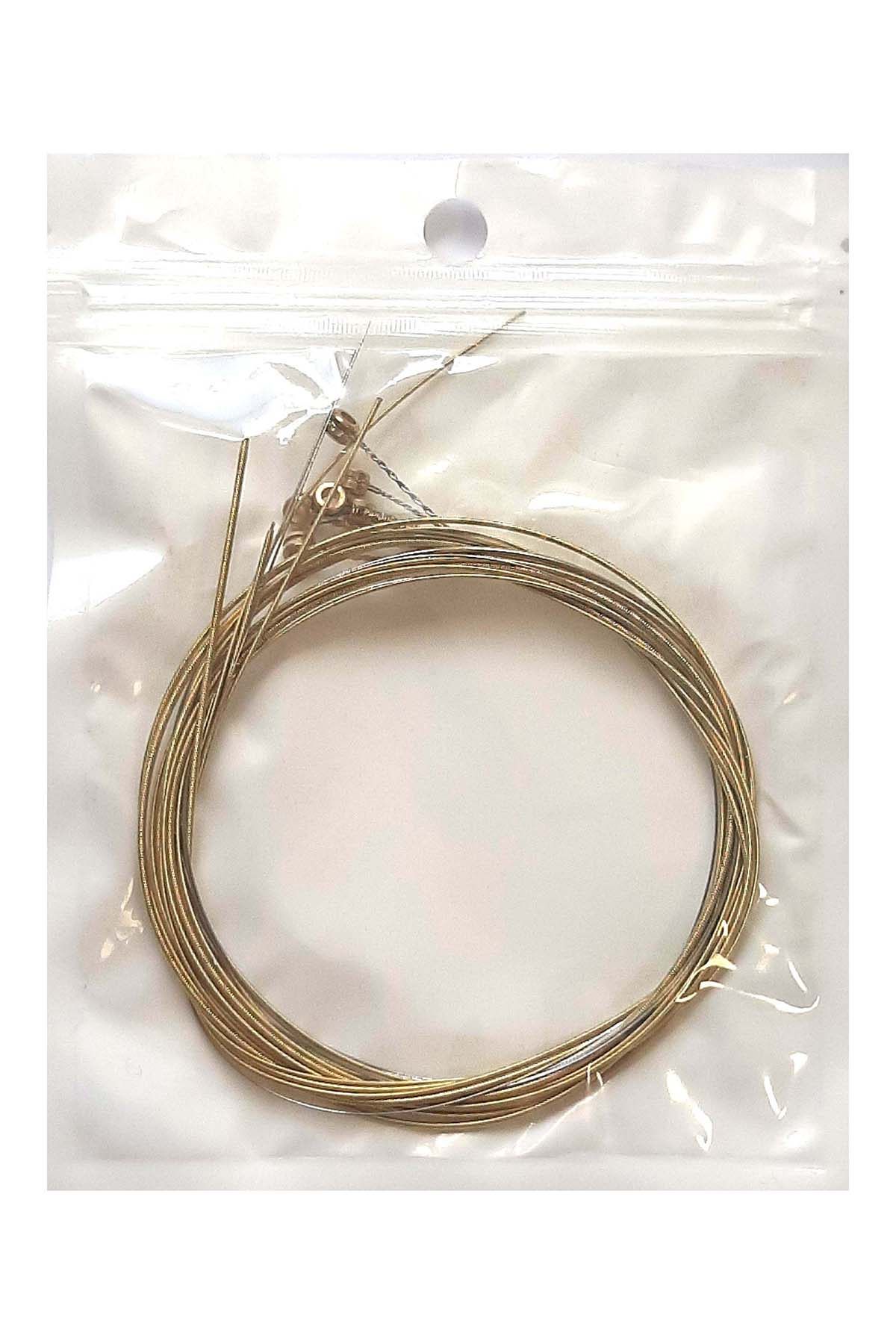 6 acoustic Guitar Strings – Replacement String Pack, Brand New