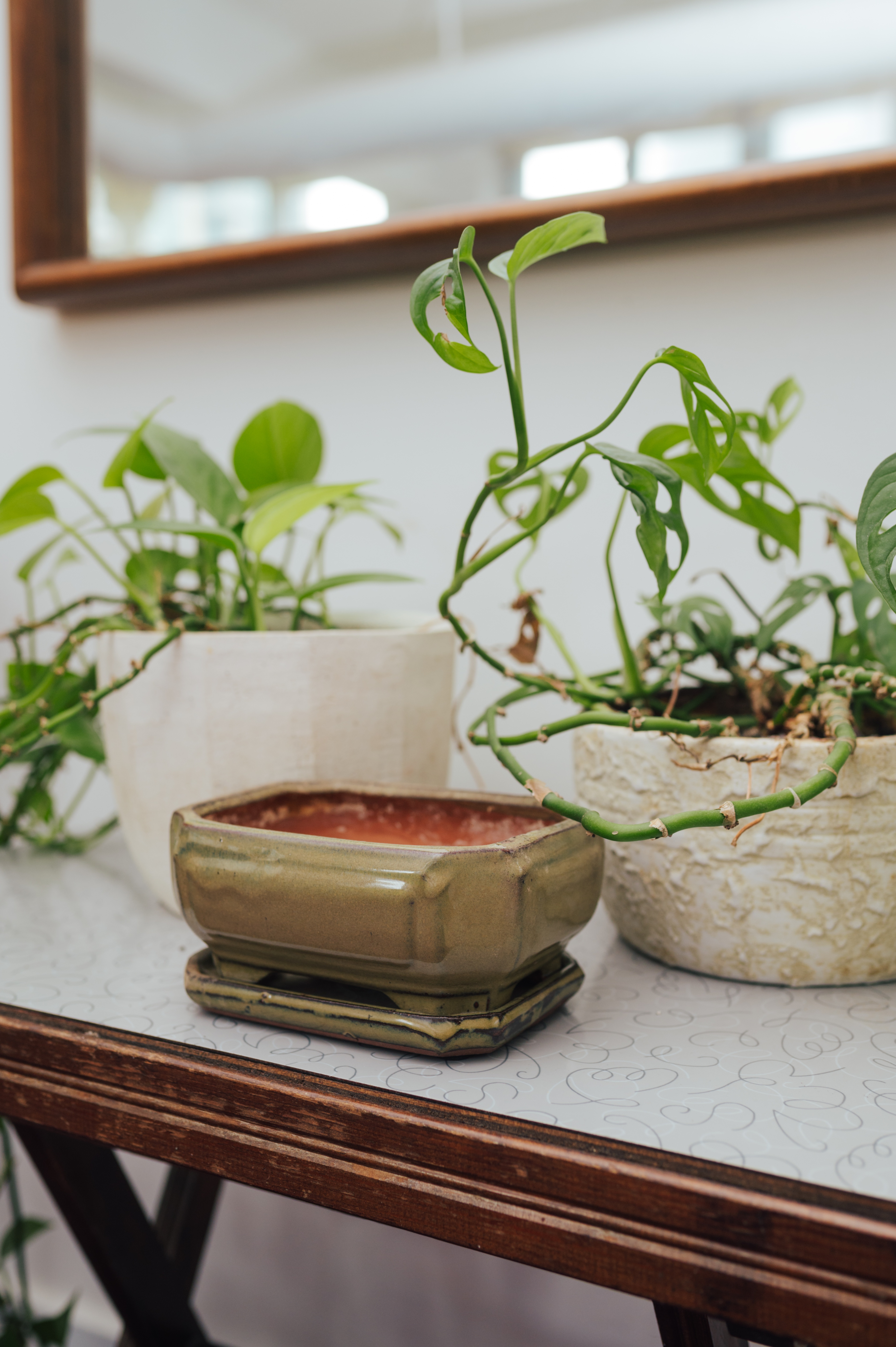 Olive Glaze Bonsai Planter with Matching Tray - photo 5