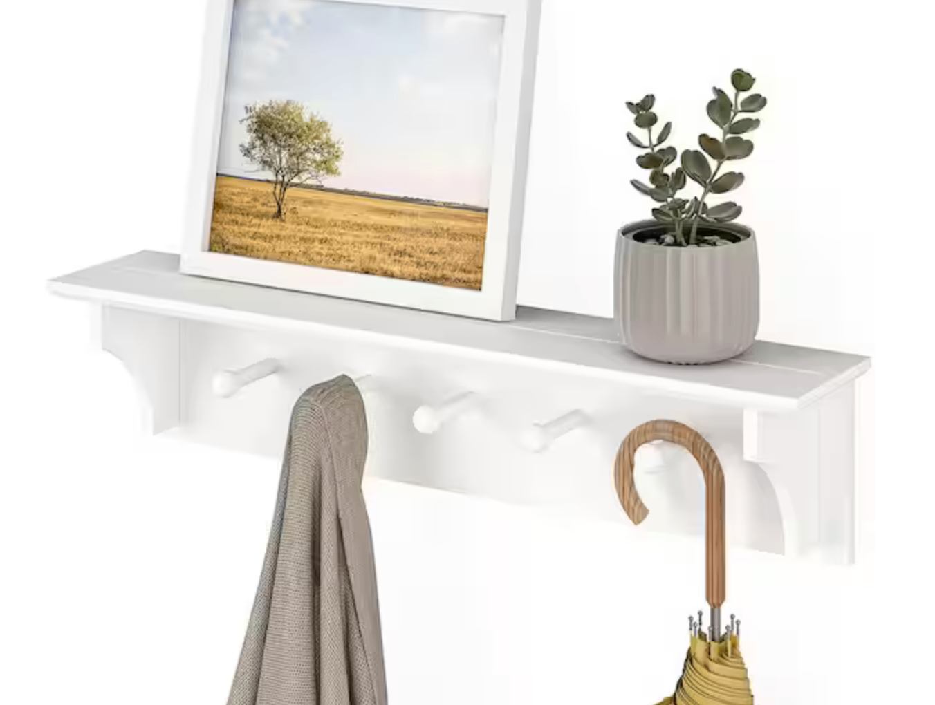 White Floating Wall Shelf with 5 Peg Hooks