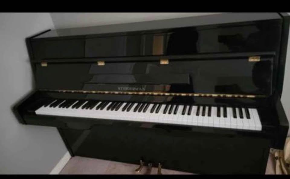 Steigerman Piano for Sale - photo 2