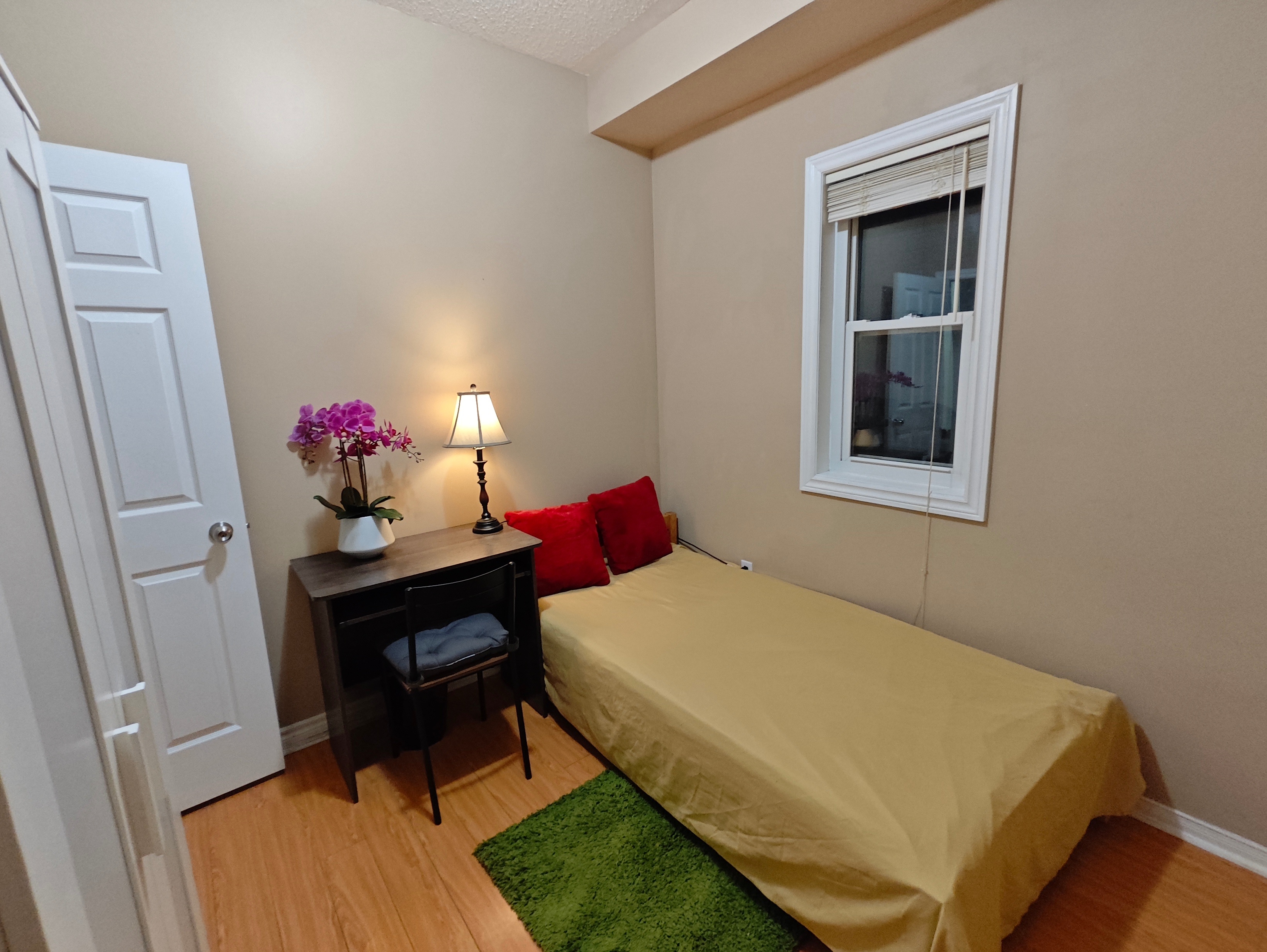 【female only】York Uni. 1 room shared washroom