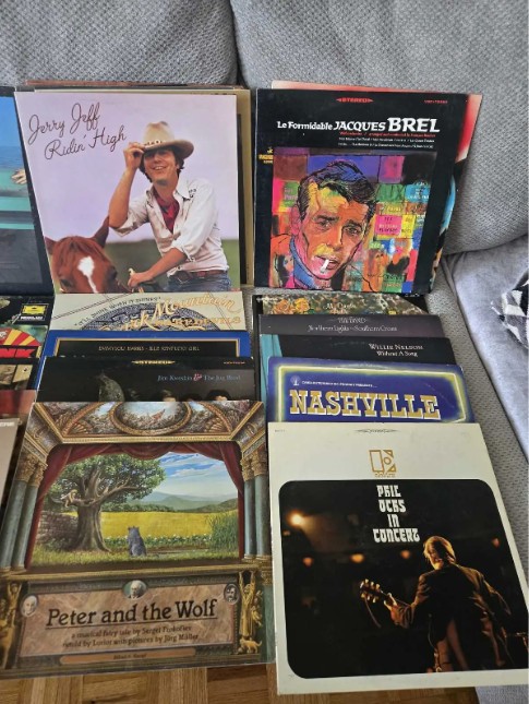 Assorted Vinyl Records Collection - photo 4