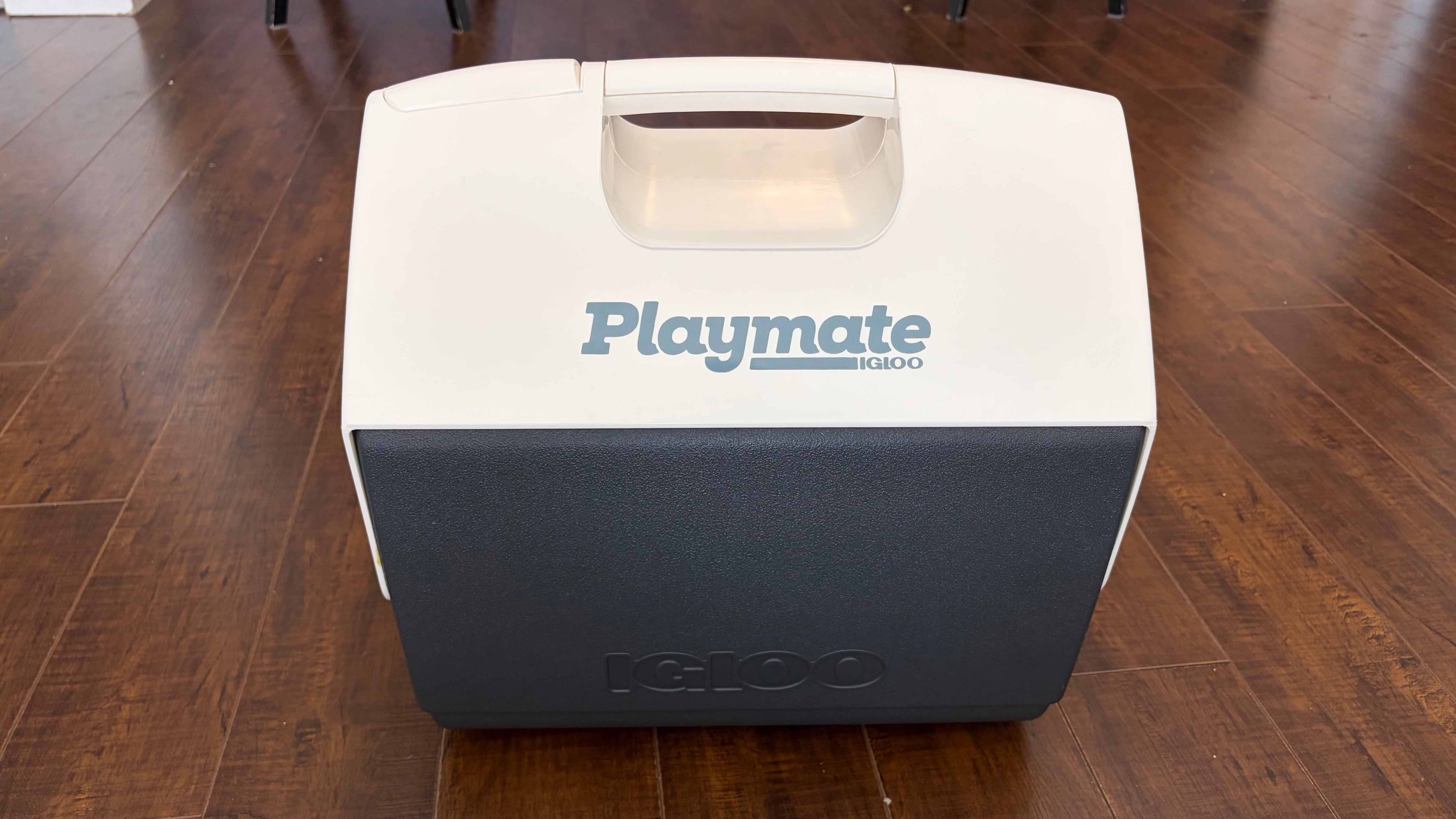 Igloo Playmate Cooler with Ice Packs