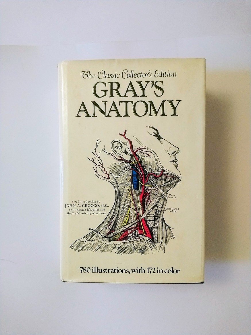 Gray's Anatomy!