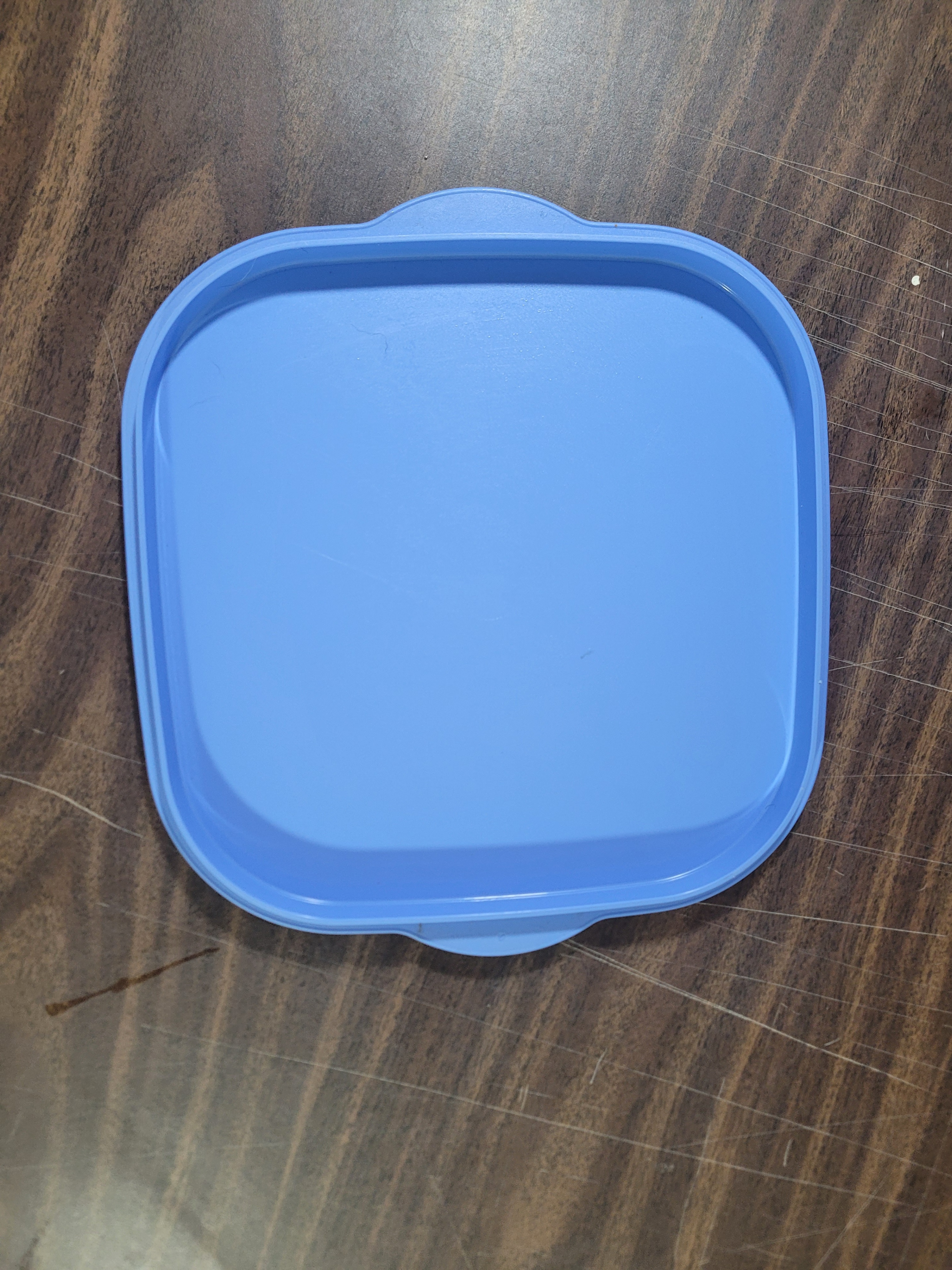 Blue Food Storage Container with Green Strap - photo 4
