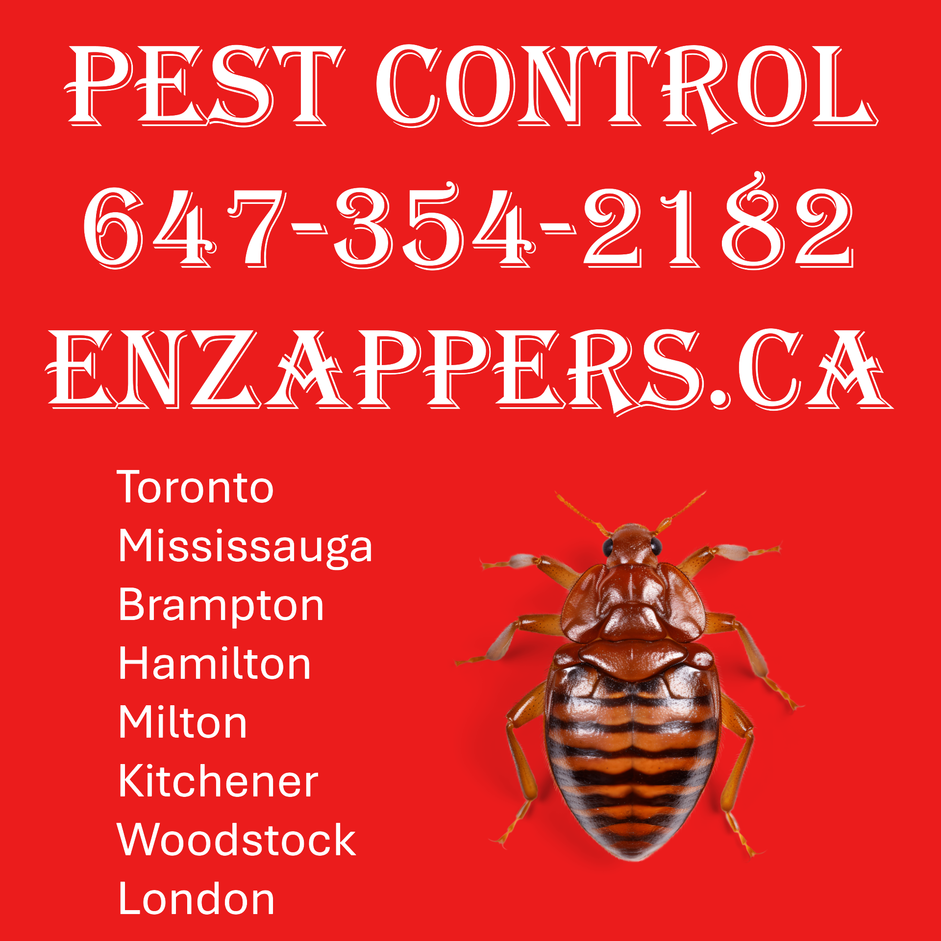 Kitchener Waterloo Pest Control