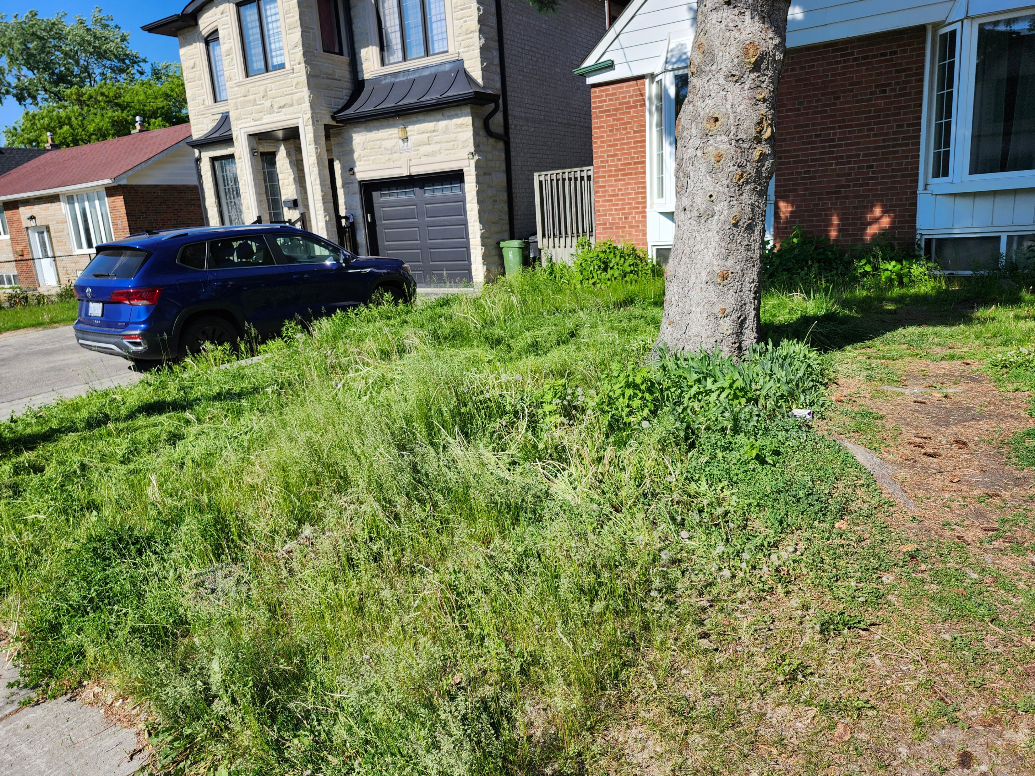 Student Lawn Mowing