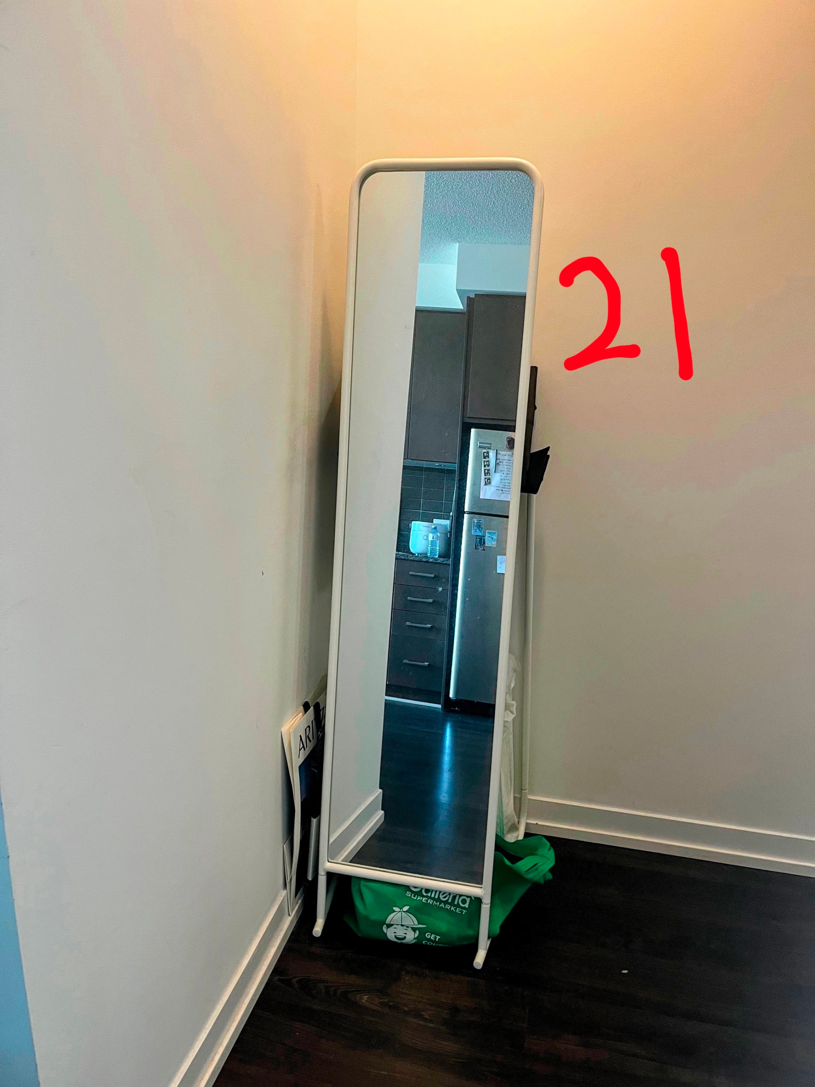 IKEA Full-Length Mirror