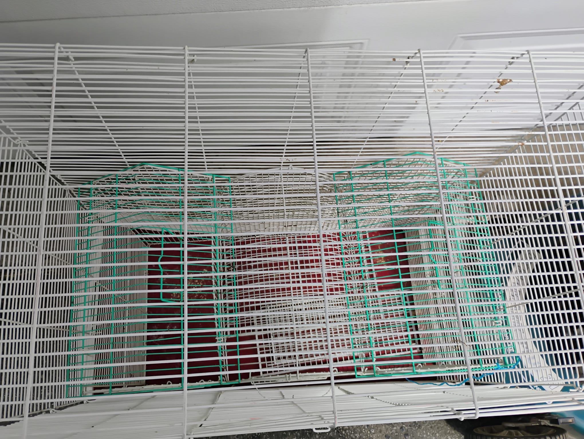 Large Bird Cage - photo 2