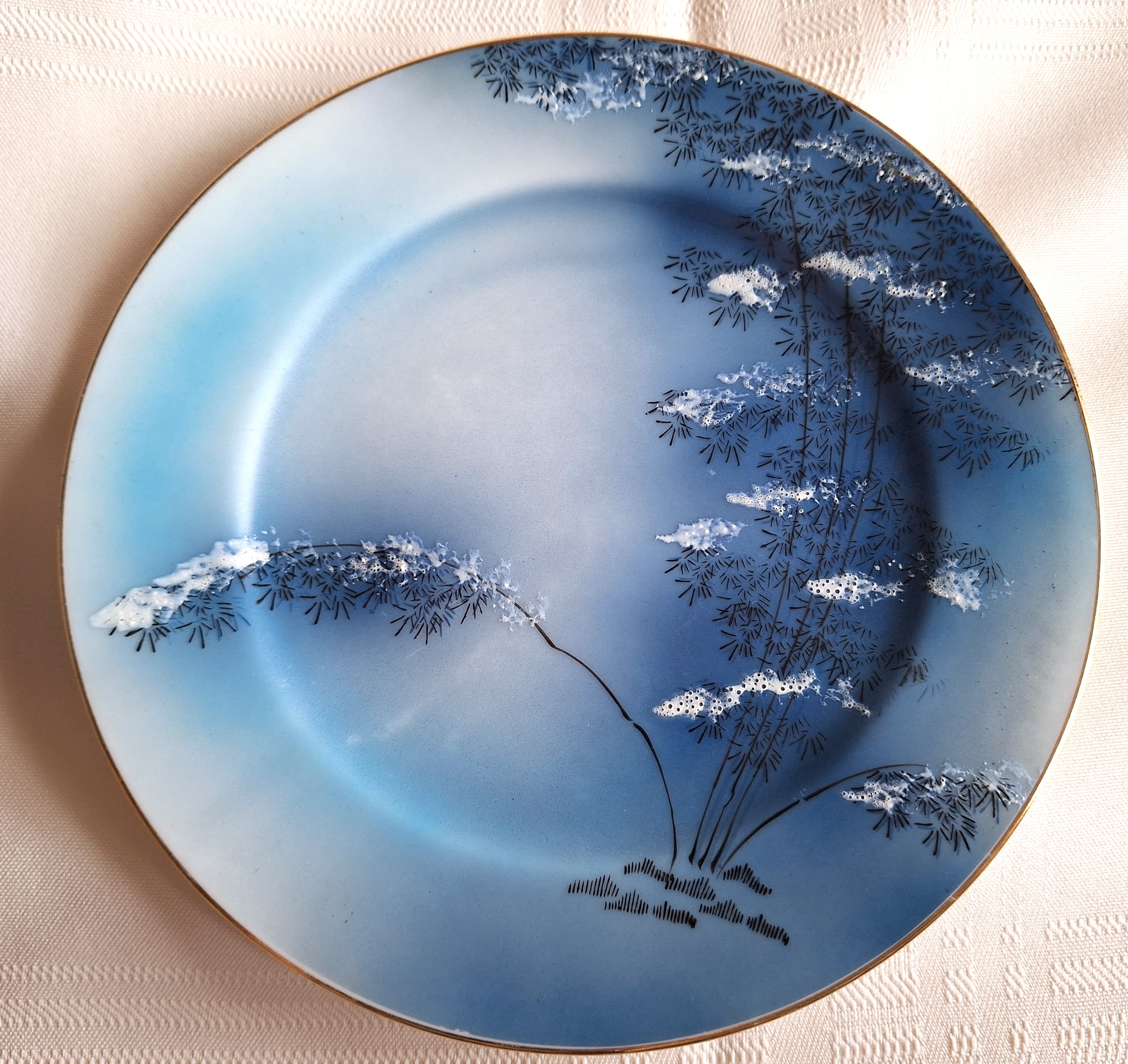 Vintage HAND-PAINTED JAPANESE Plate - Blue and White Snow raised