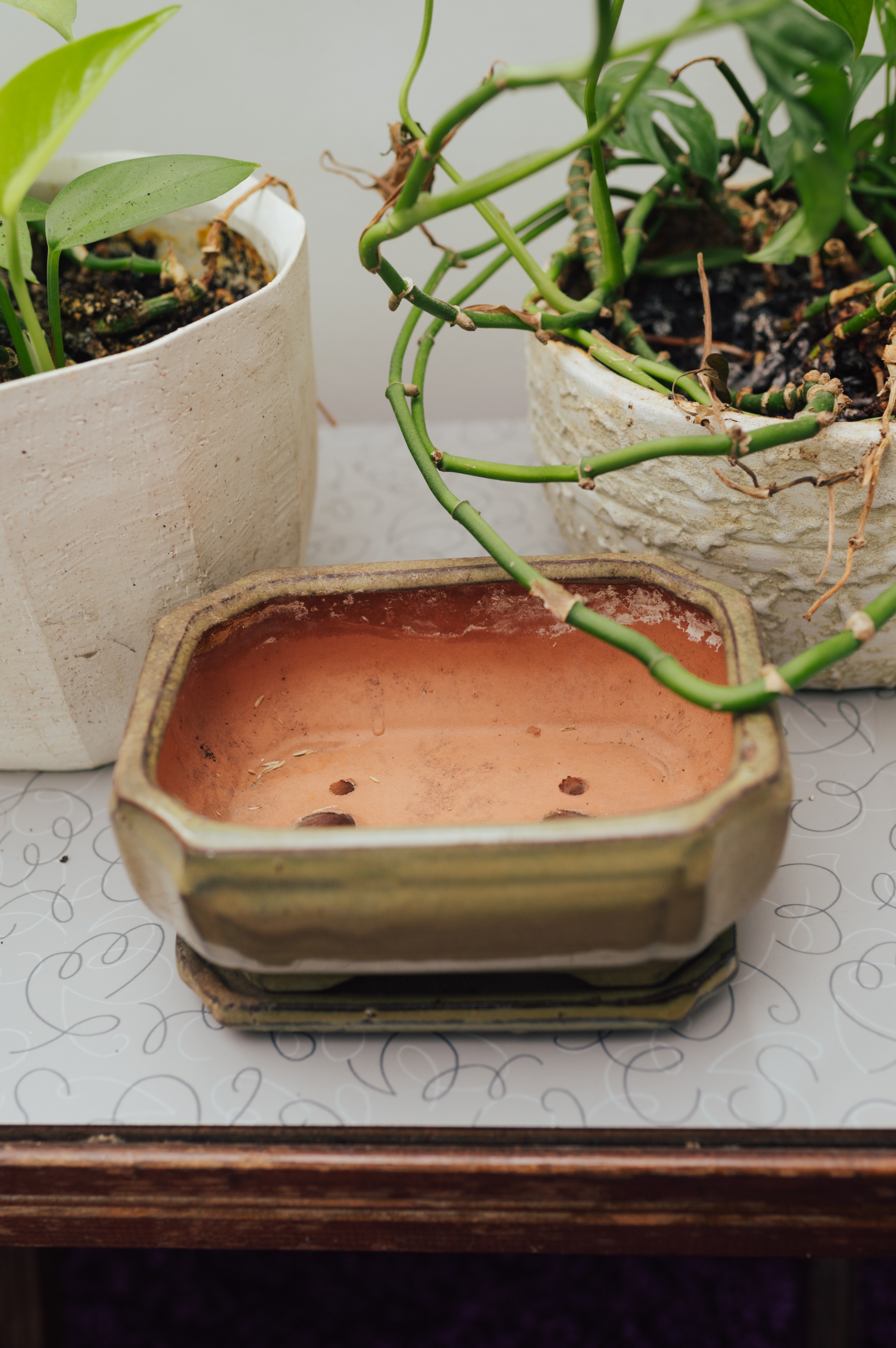 Olive Glaze Bonsai Planter with Matching Tray - photo 2