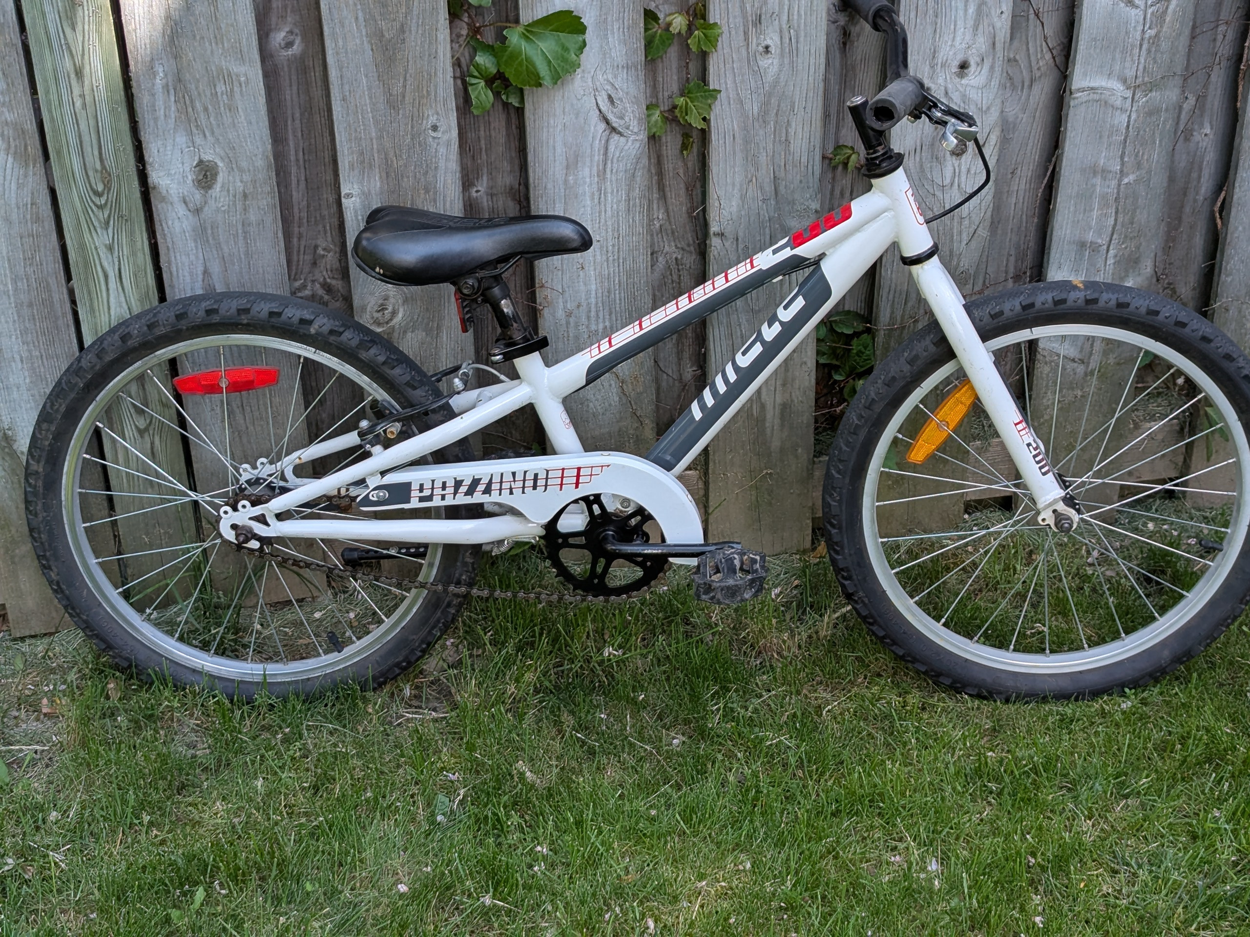 20" wheels, Miele Single Speed Bike, coaster and hand brake