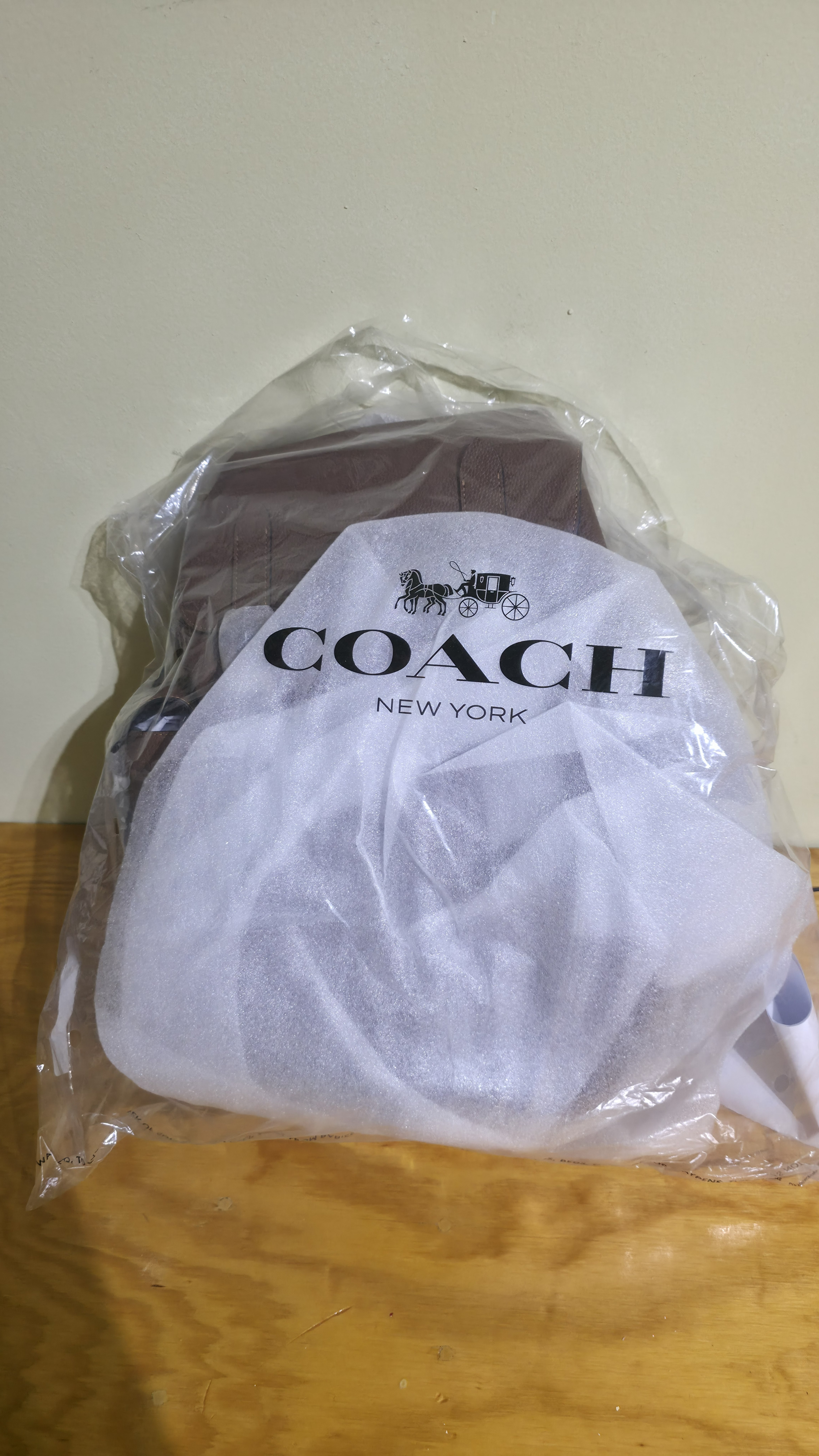 Coach Backpack Natural