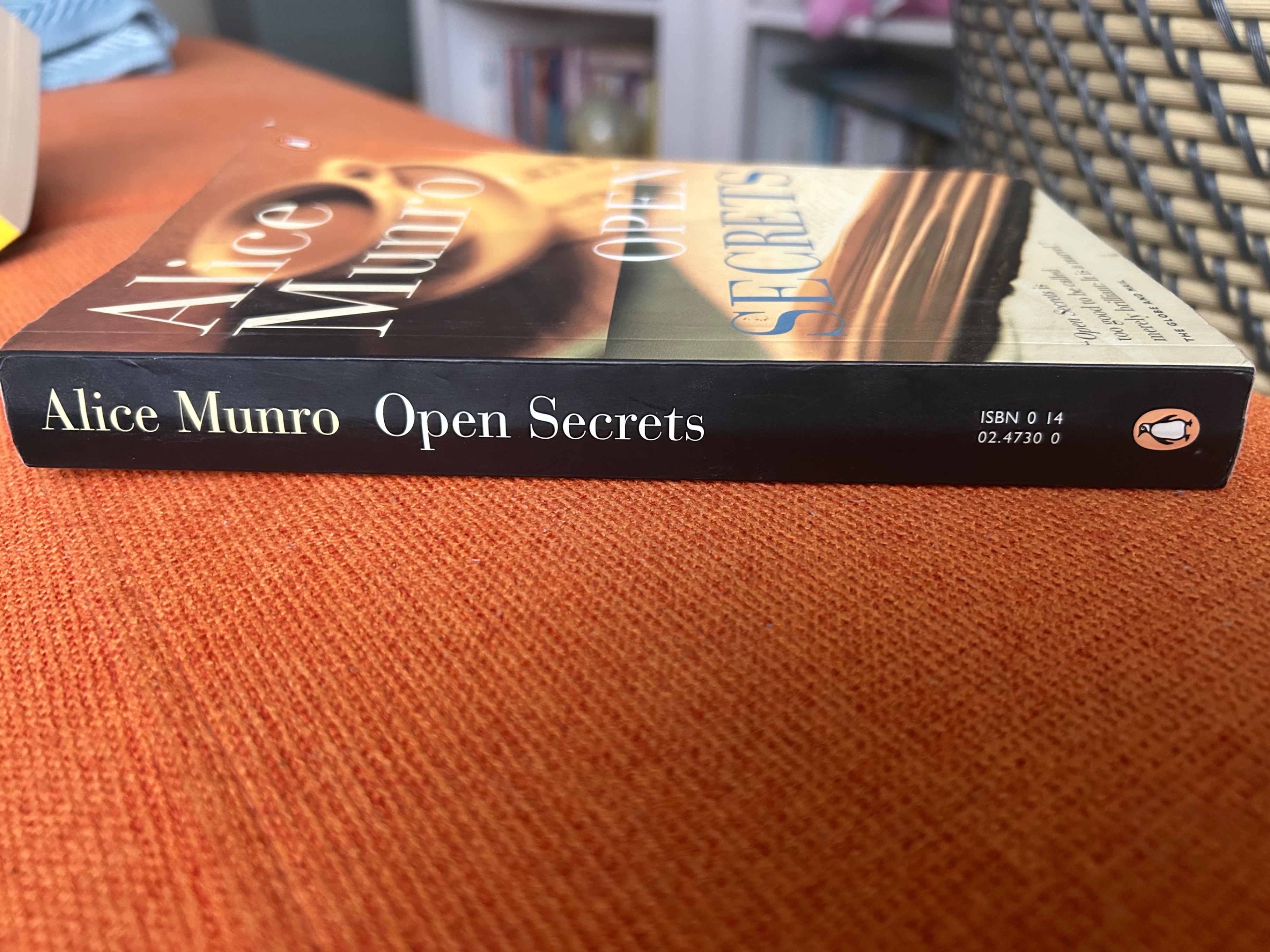 Open Secrets - Alice Munro - photo 3
