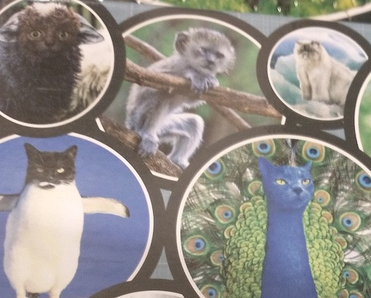 Whimsical Cat Puzzle - Animals Theme - photo 2