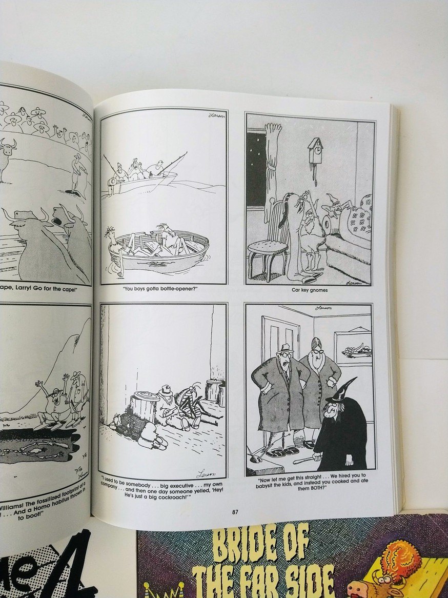 The Far Side / Gary Larson books! - photo 3