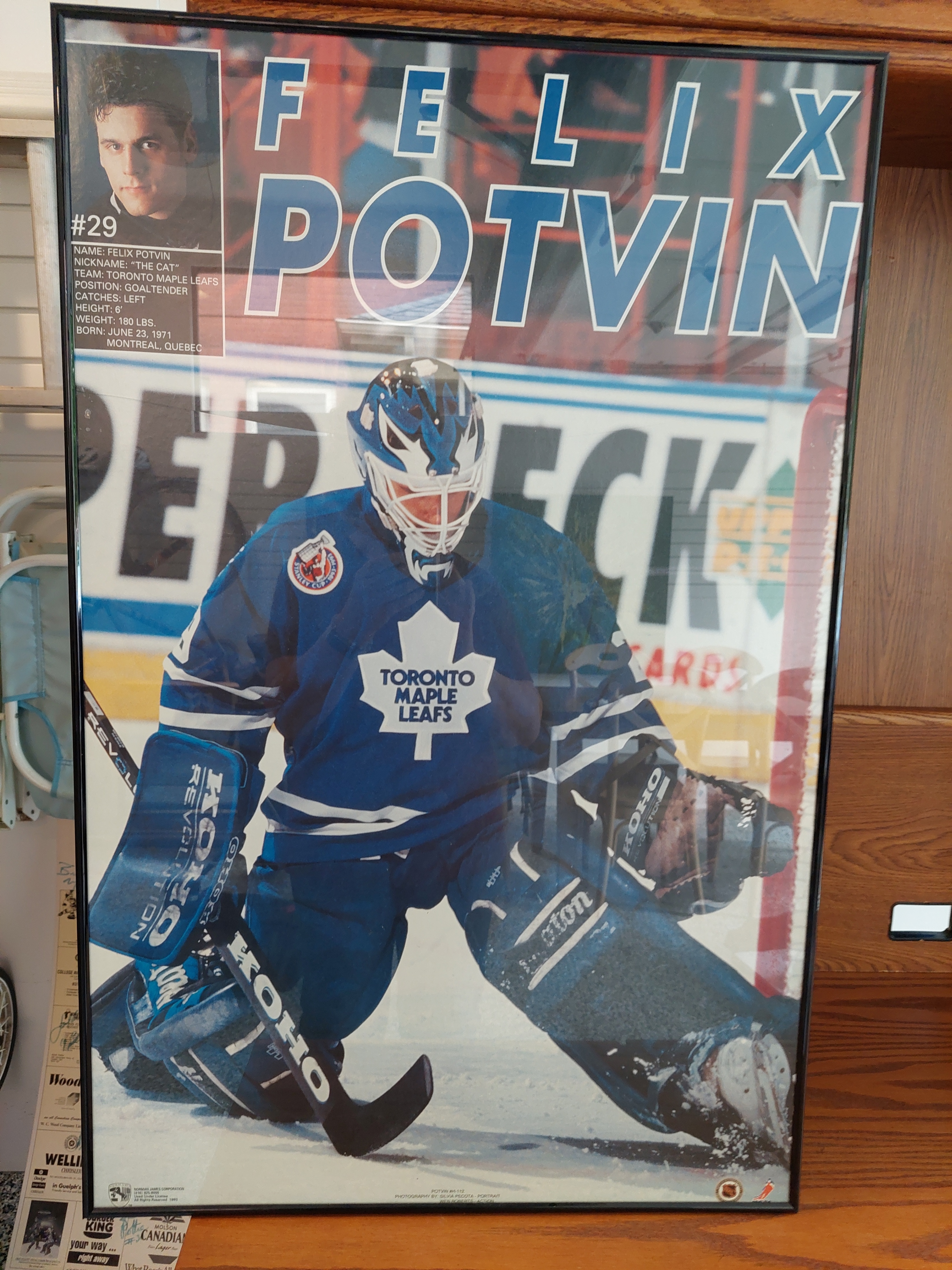 Felix Potvin "The Cat" Toronto Maple Leafs Goalie Poster