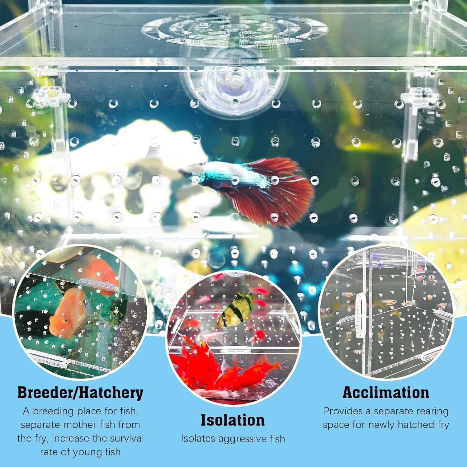 Hamideiledyi Acrylic Breeding Isolation Box - photo 5