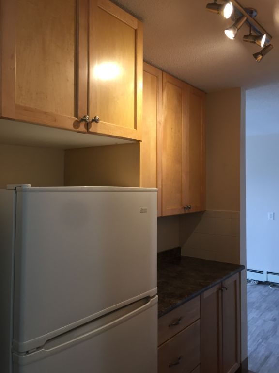 Renovated Two Bedroom with 4 appliances - photo 5