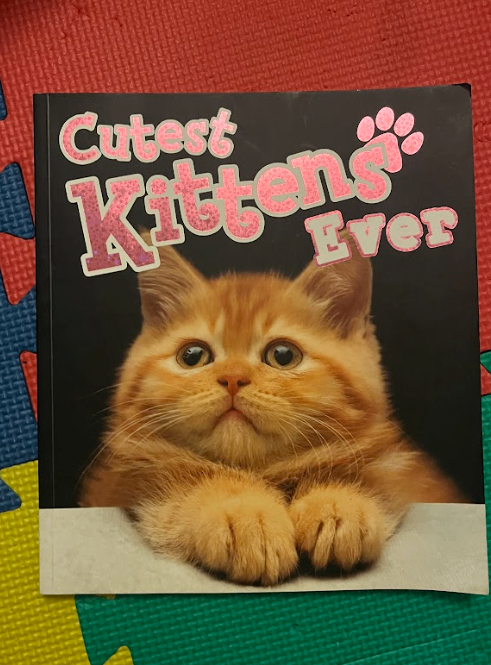 Bundle of Children's Picture Books - photo 2