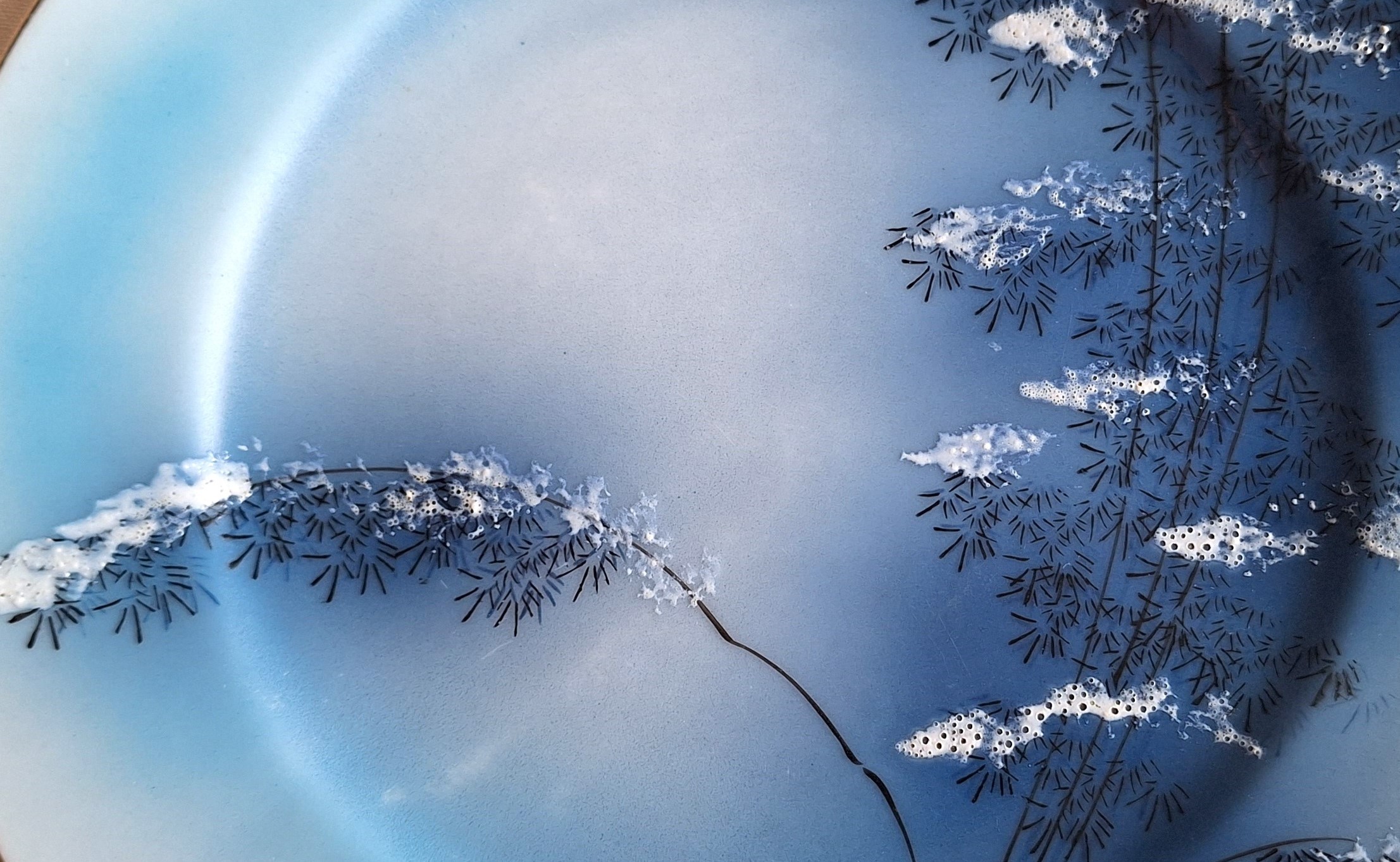 Vintage HAND-PAINTED JAPANESE Plate - Blue and White Snow raised - photo 2