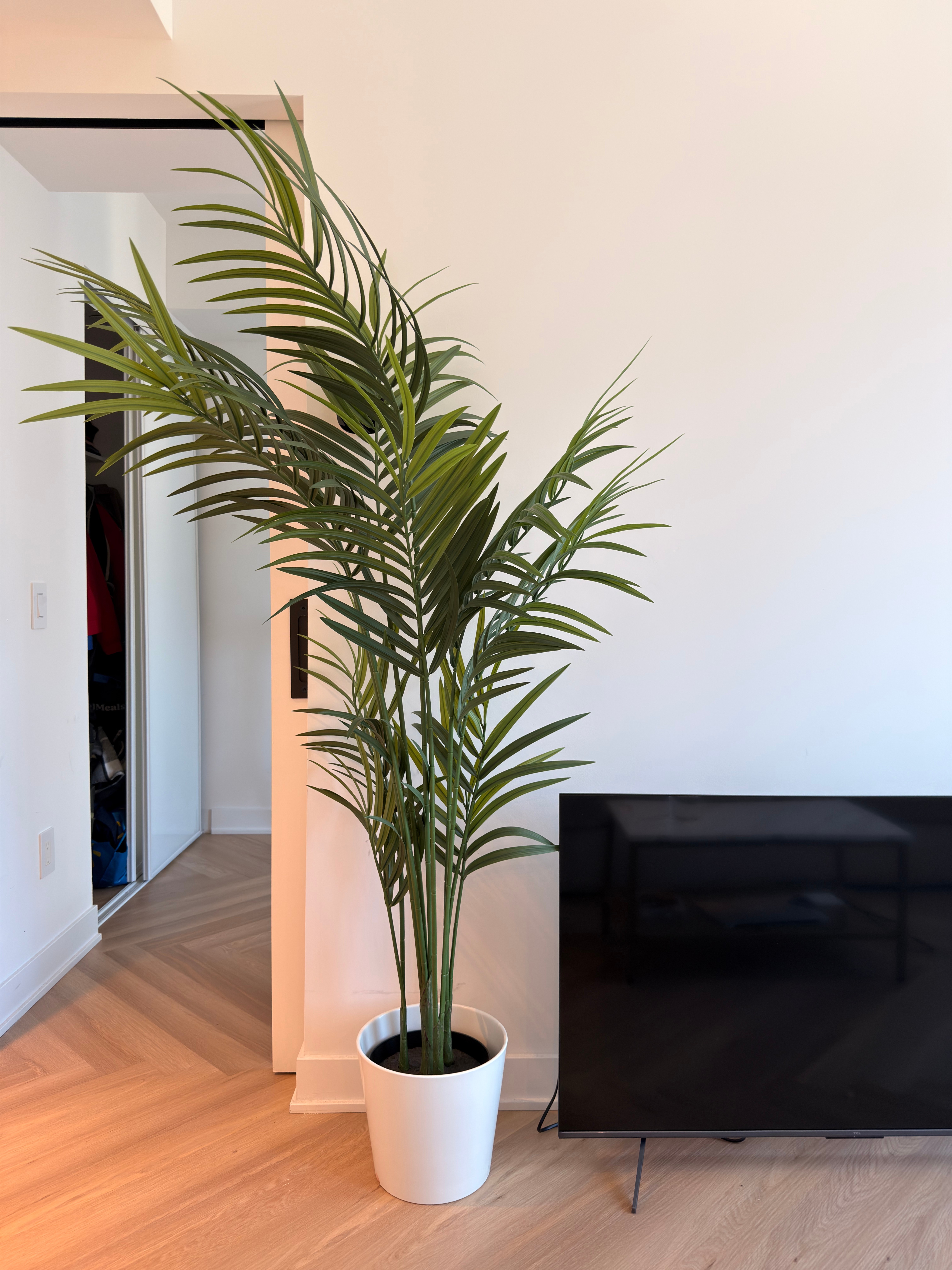 🌴 Large Artificial Kentia Palm with White Pot – Like New - photo 2