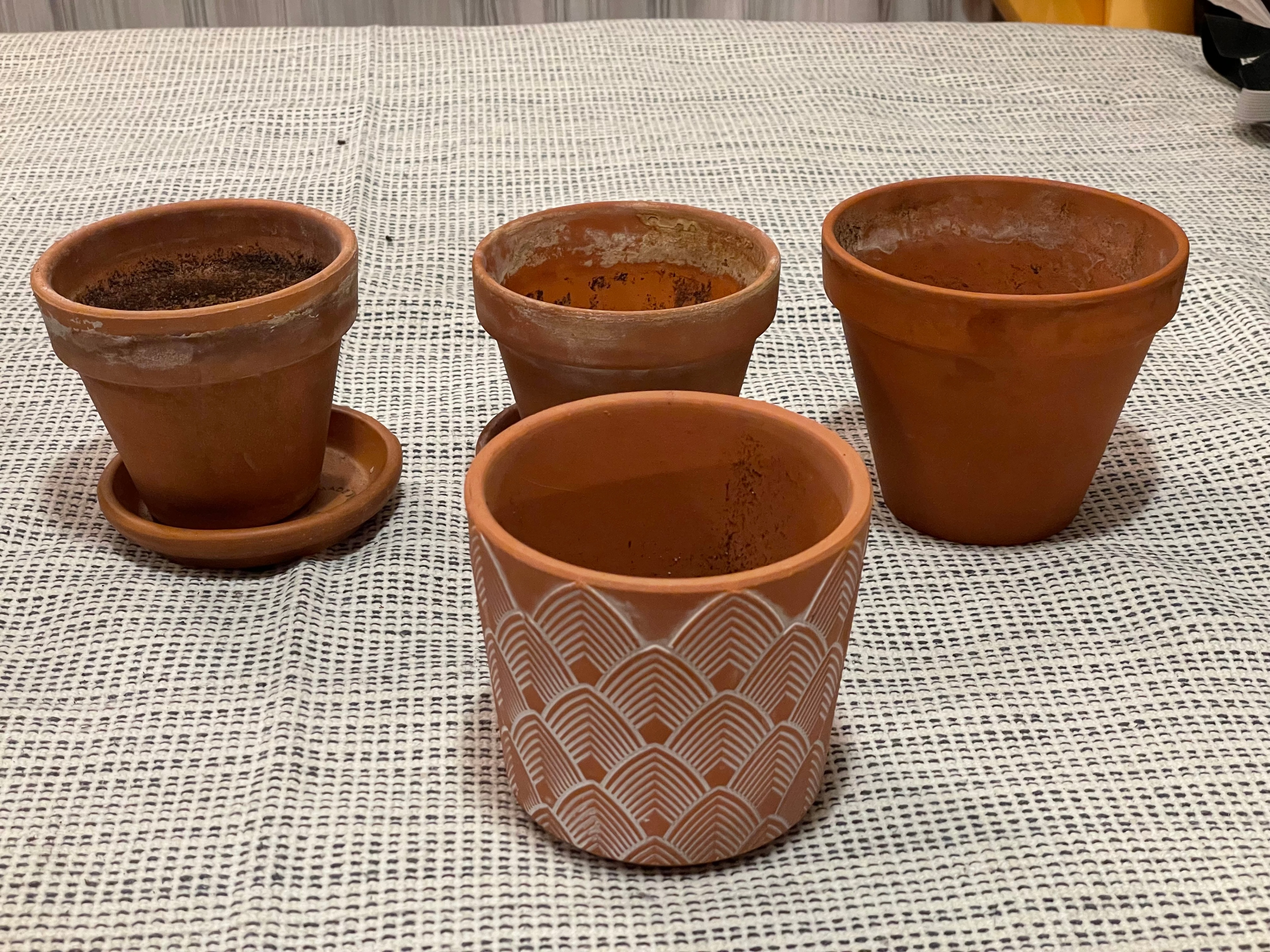 Assorted Terracotta and Plastic Plant Pots