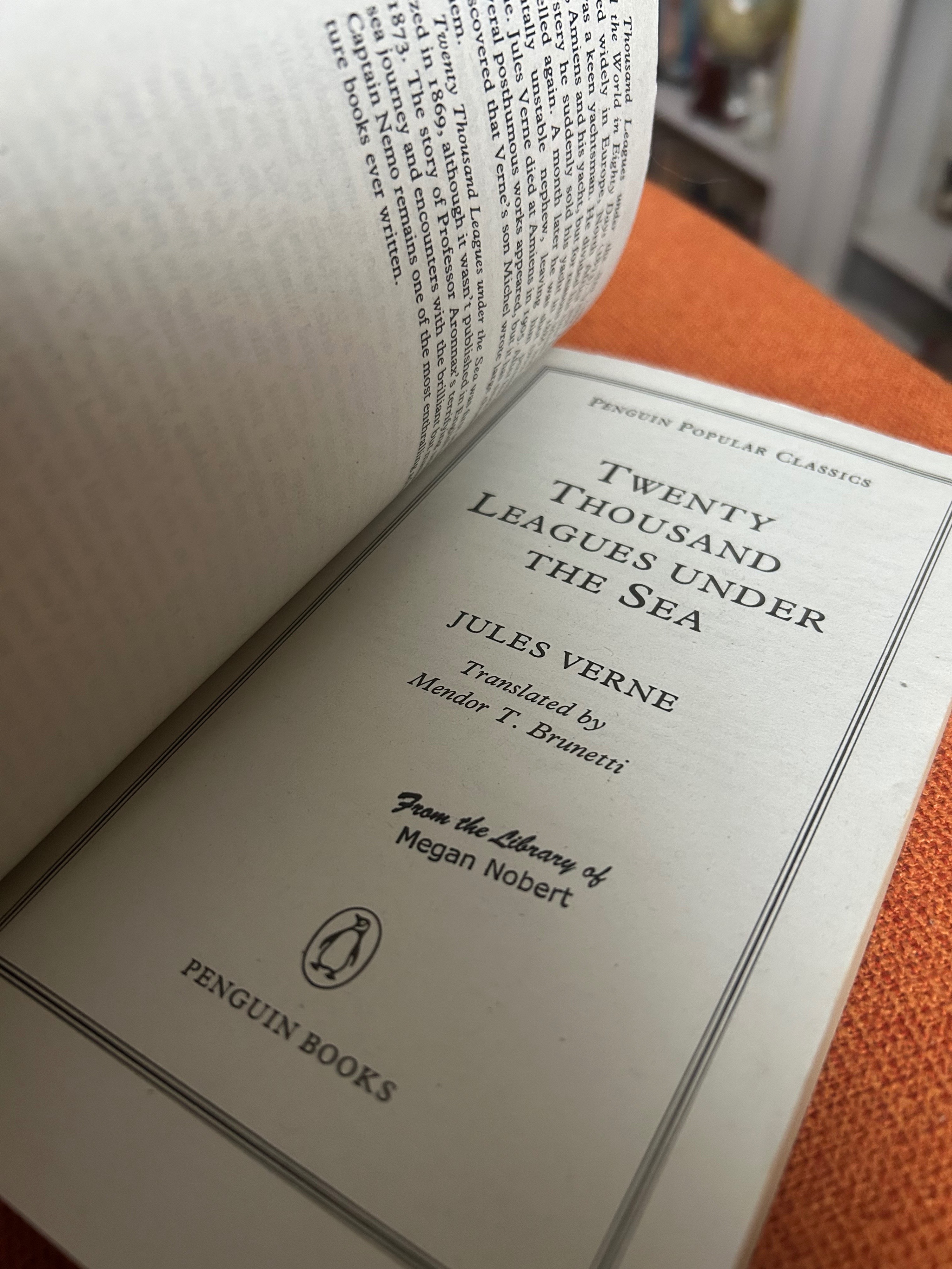 Twenty Thousand Leagues Under the Seas - Jules Verne - photo 4