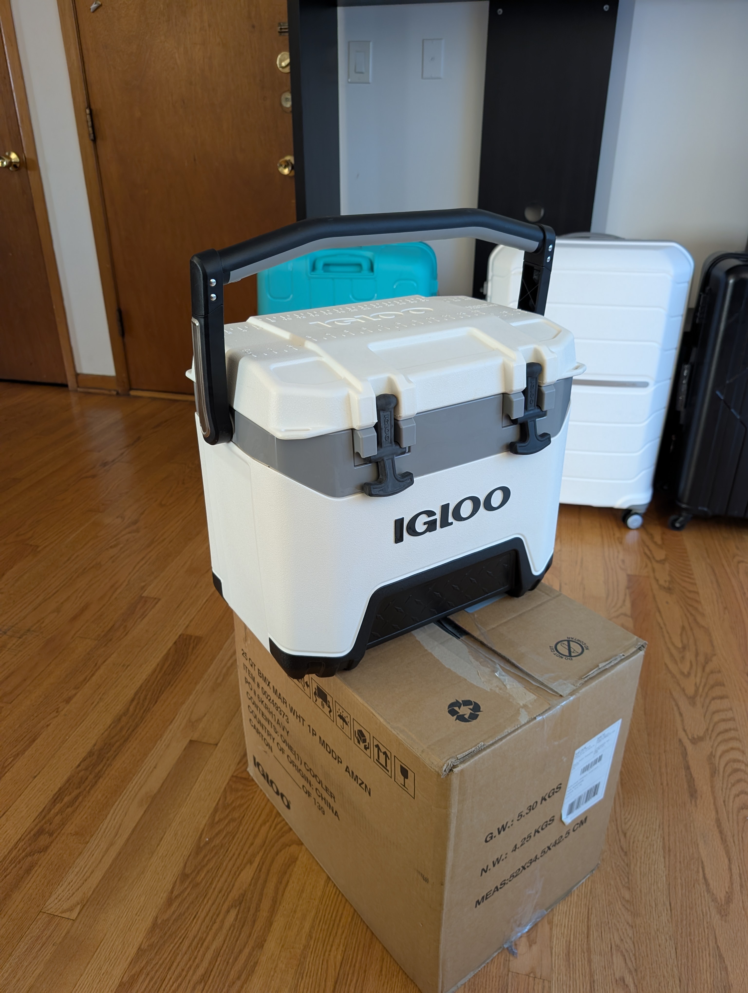Igloo BMX Cooler 25 quartz