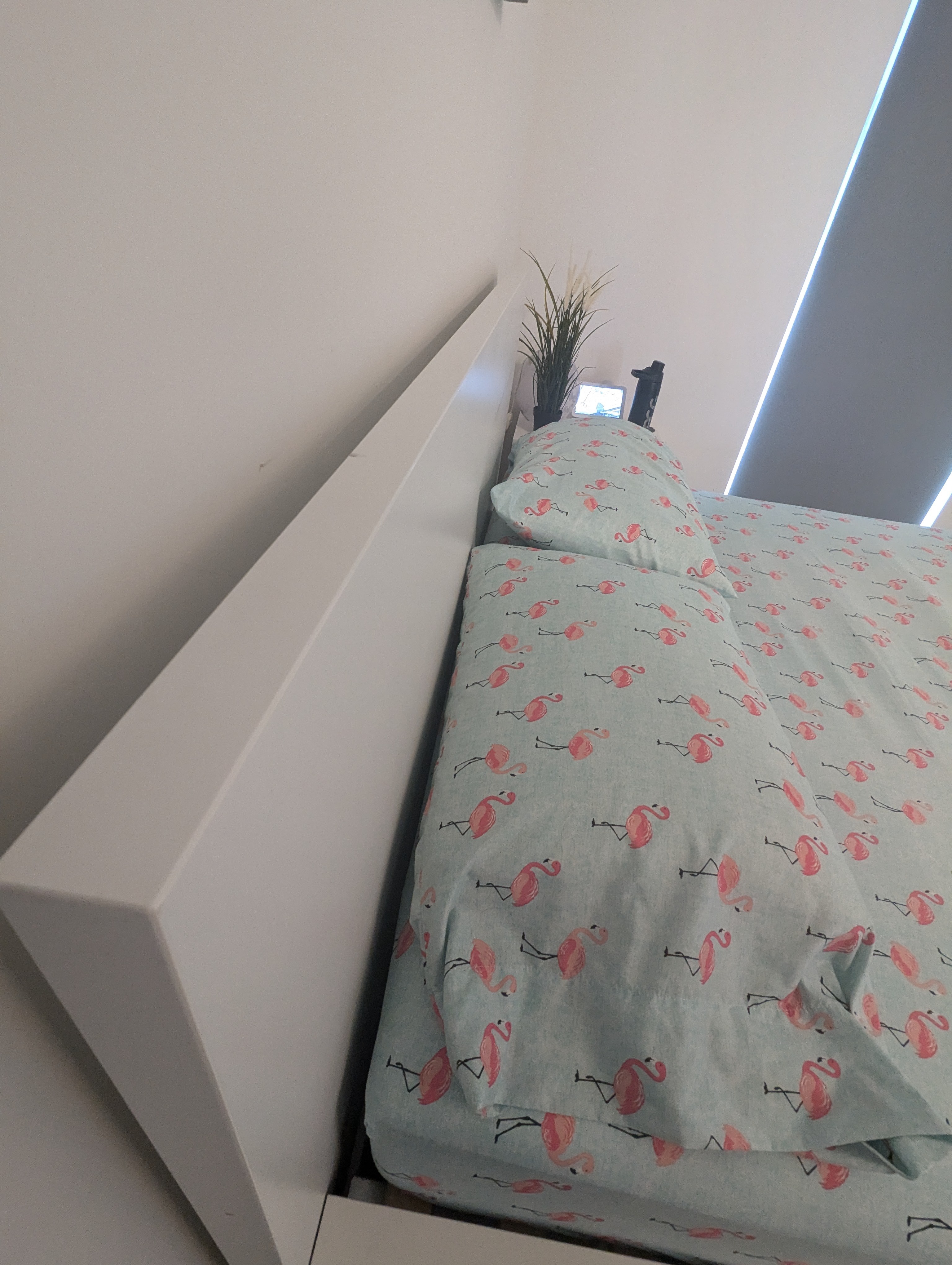 IKEA MALM Bed Frame - photo 5