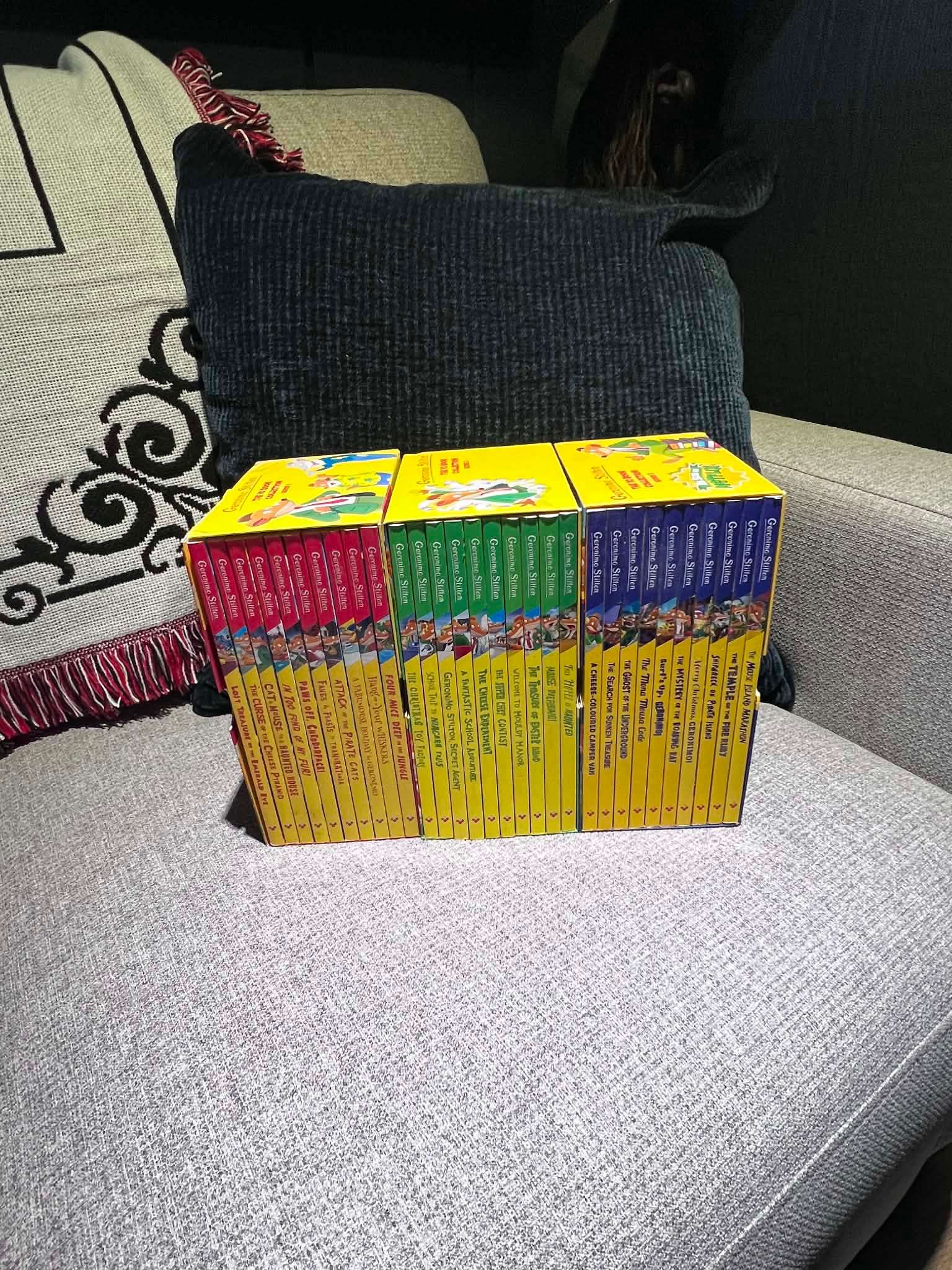 Geronimo Stilton Book Collection