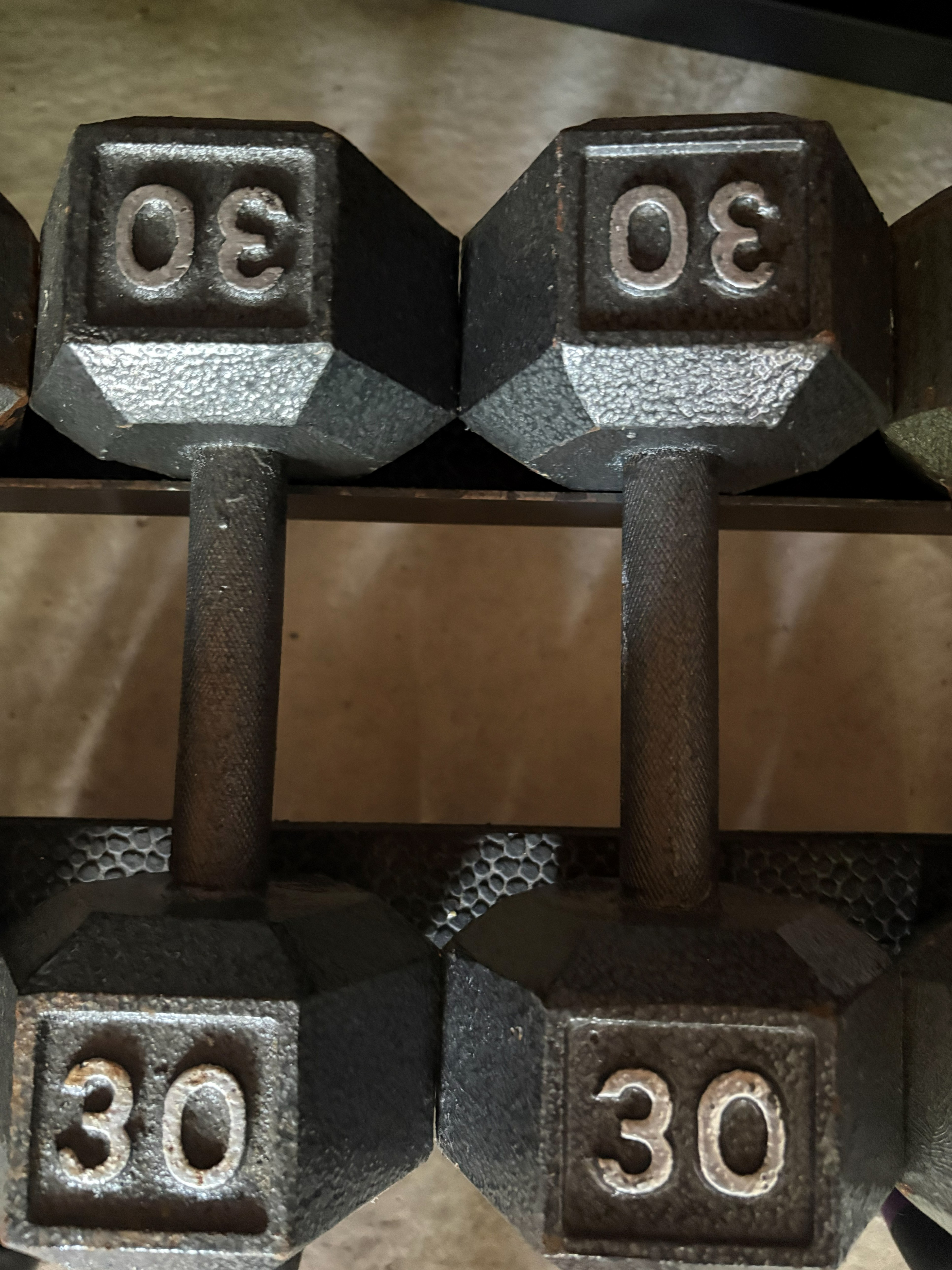 30lb Chrome Dumbbells (Pair)