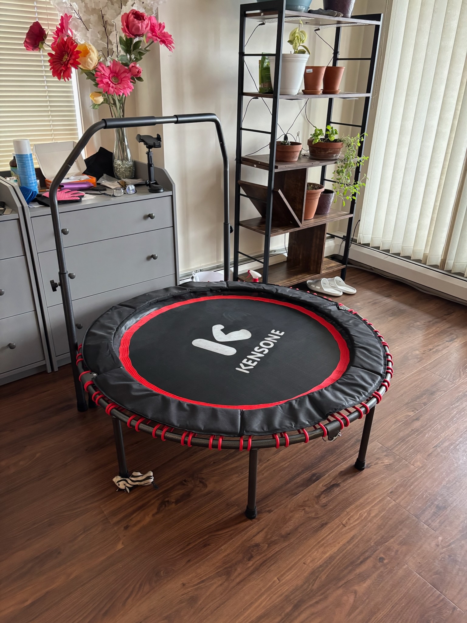 Trampoline Rebounder