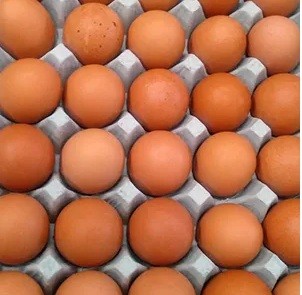 Large Size Organic Brown eggs - photo 2