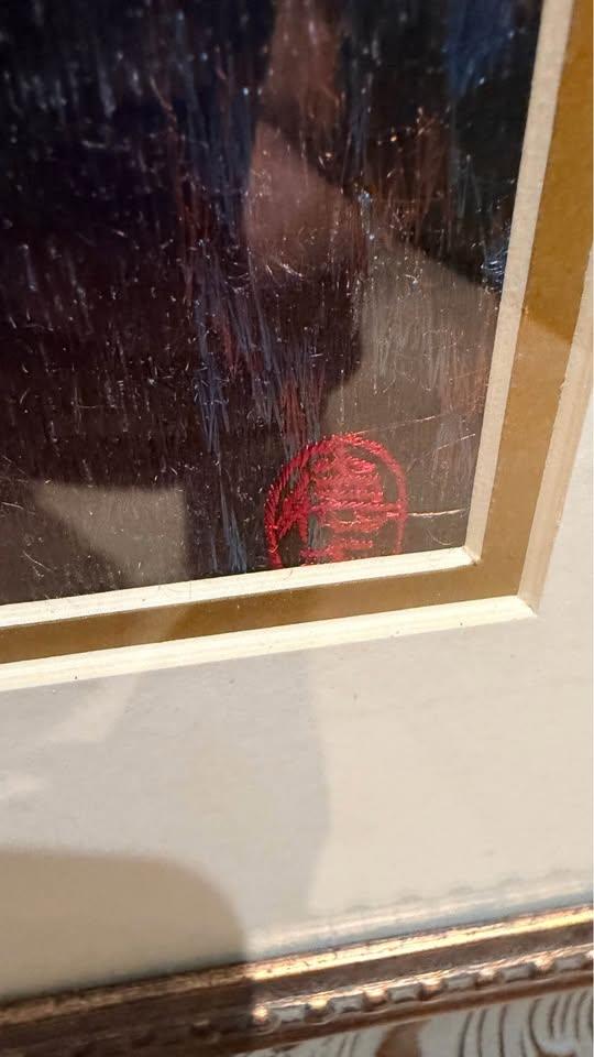 Framed Embroidered Art - Woman in Traditional Attire - photo 4