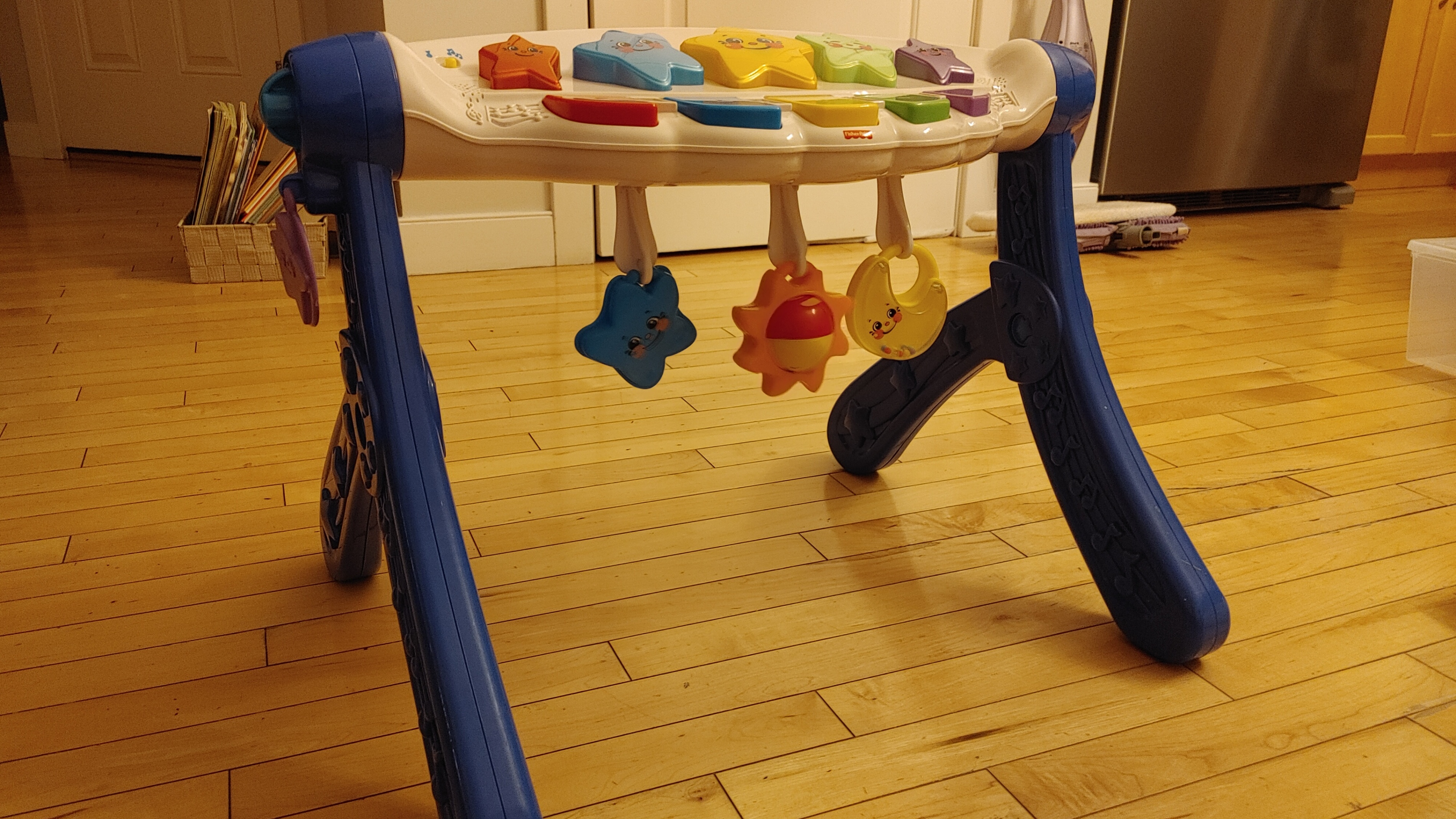 Fisher-Price Baby Activity Center Piano Gym - photo 3
