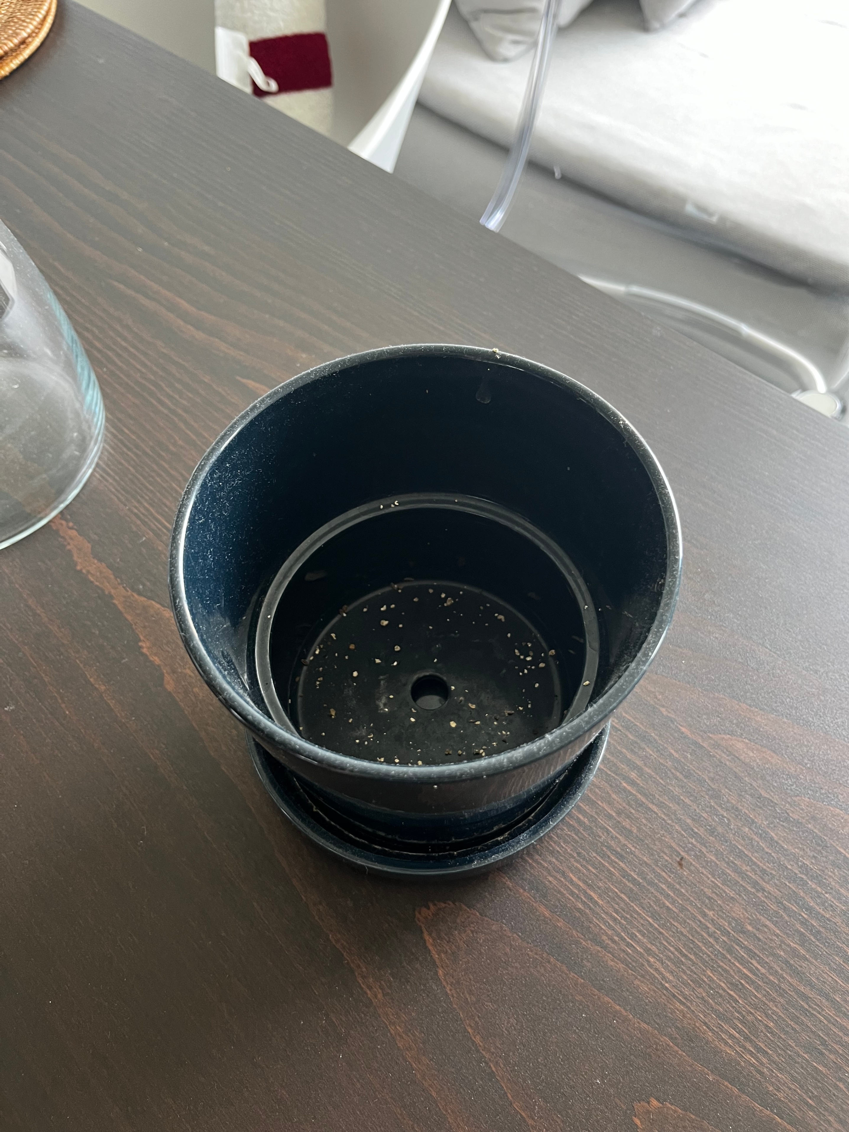 Round Flower Vase (11cm diameter) - photo 5
