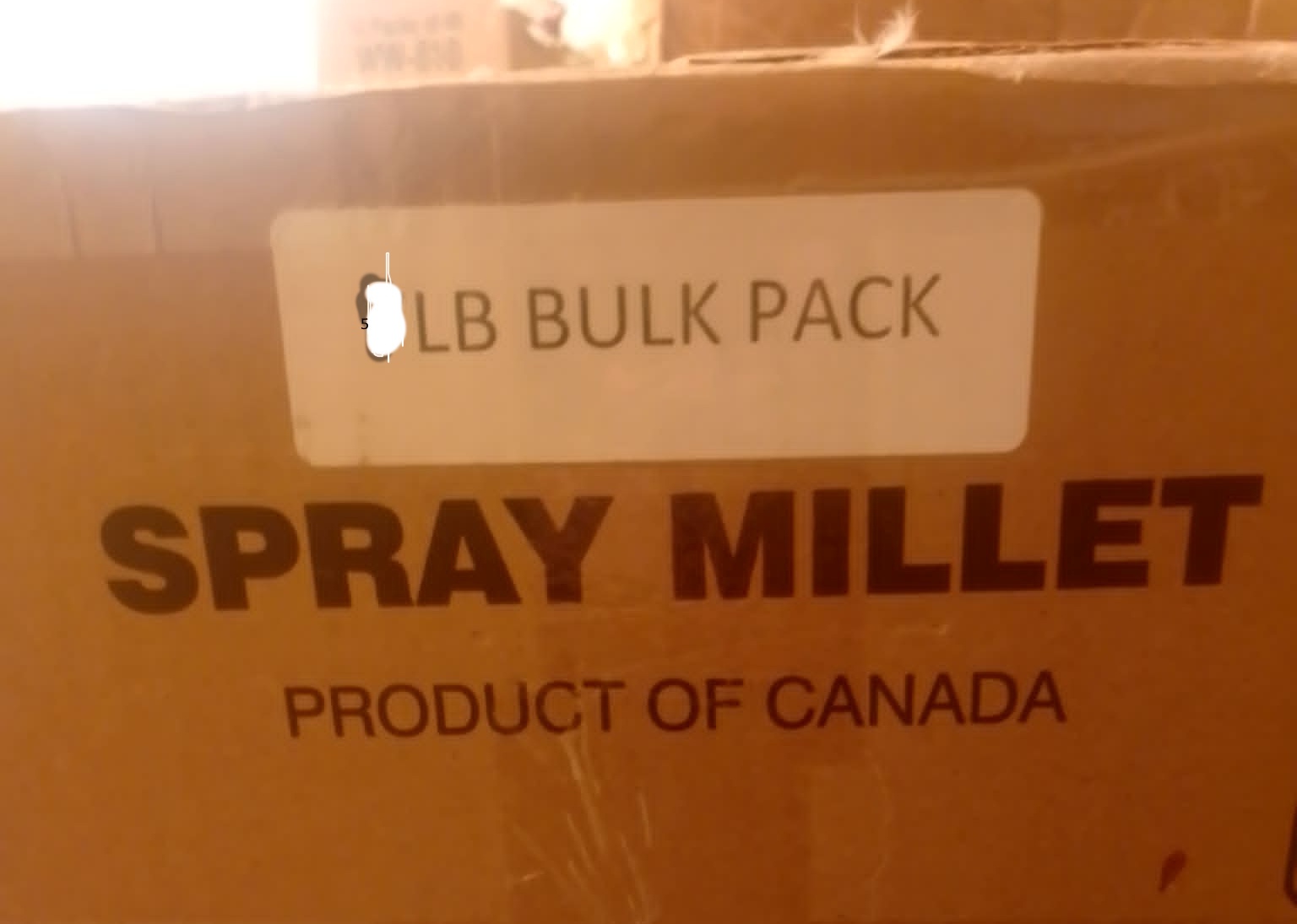 4-5 lbs Spray Millet
