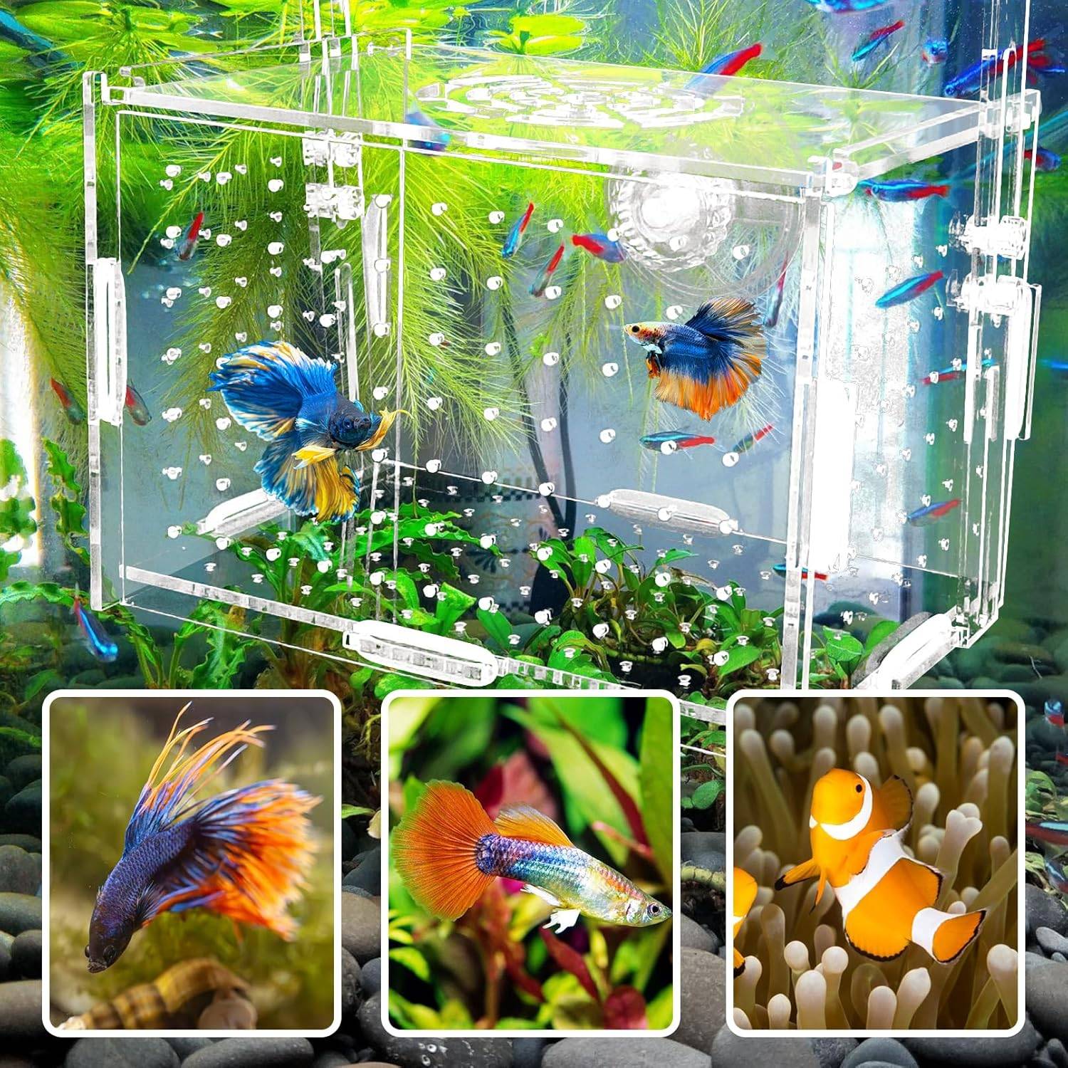 Hamideiledyi Acrylic Breeding Isolation Box