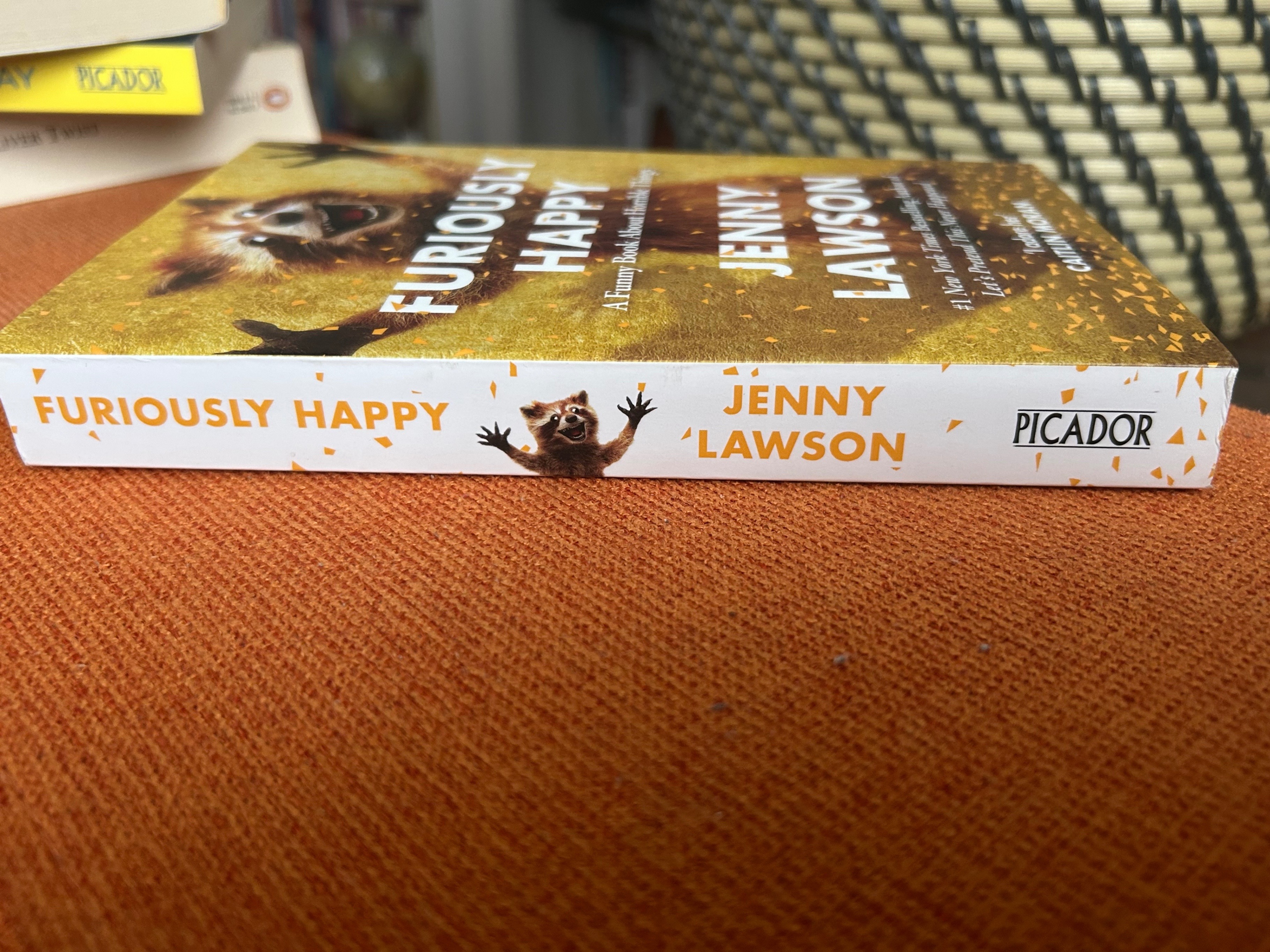 Furiously Happy - Jenny Lawson - photo 3