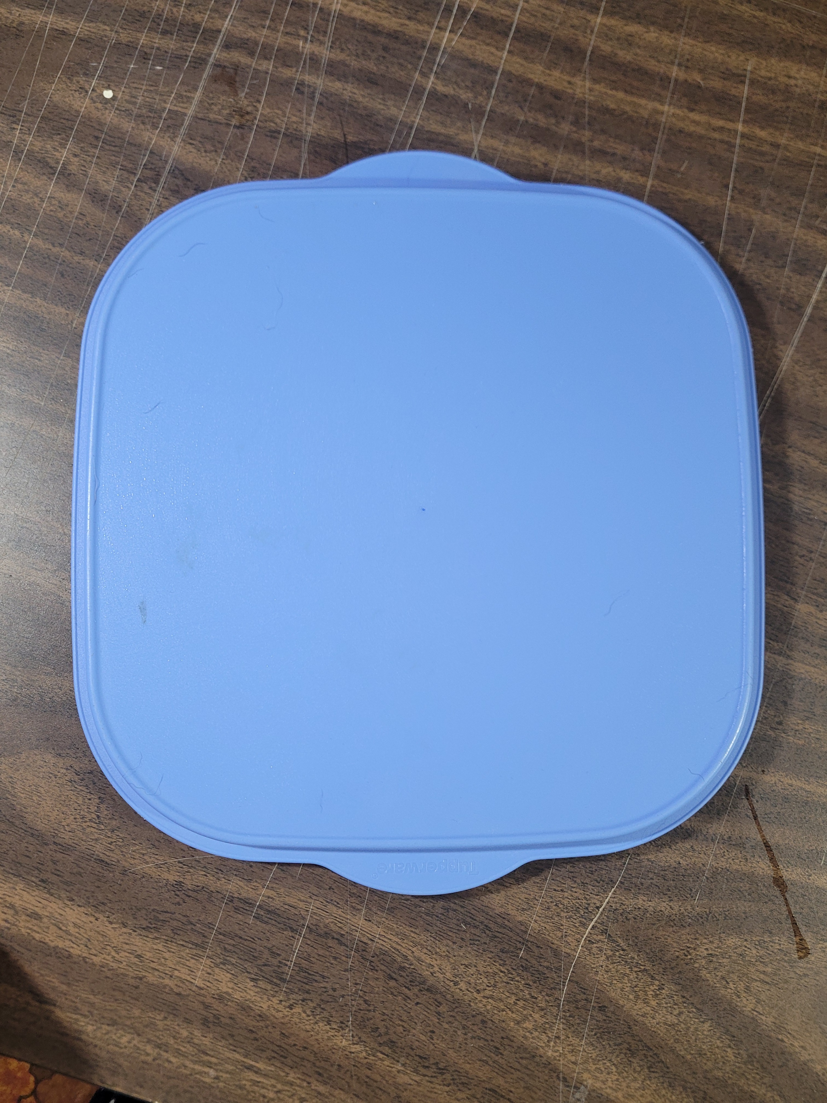 Blue Food Storage Container with Green Strap - photo 5