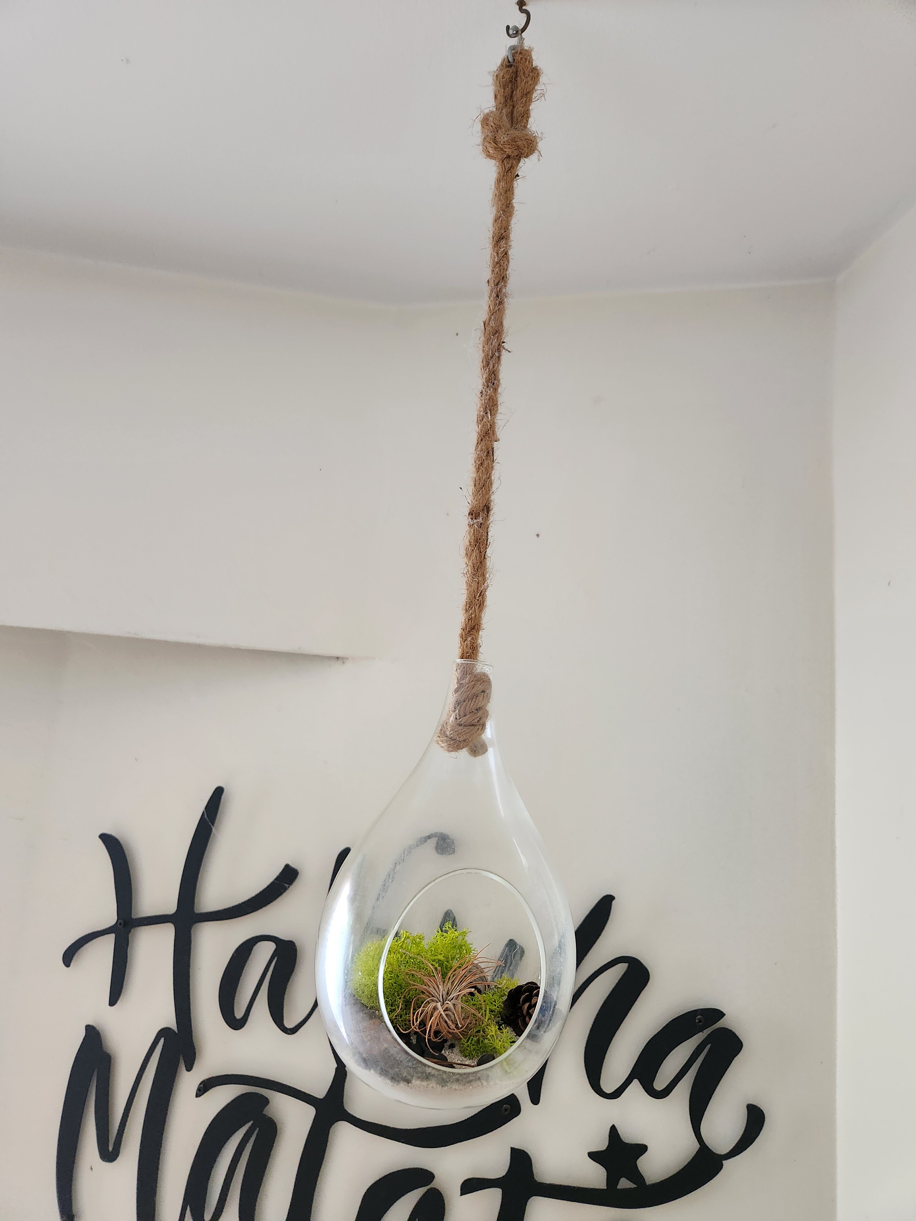 Set of 2 Hanging Glass Drop Terrariums / DIY Plant Pots