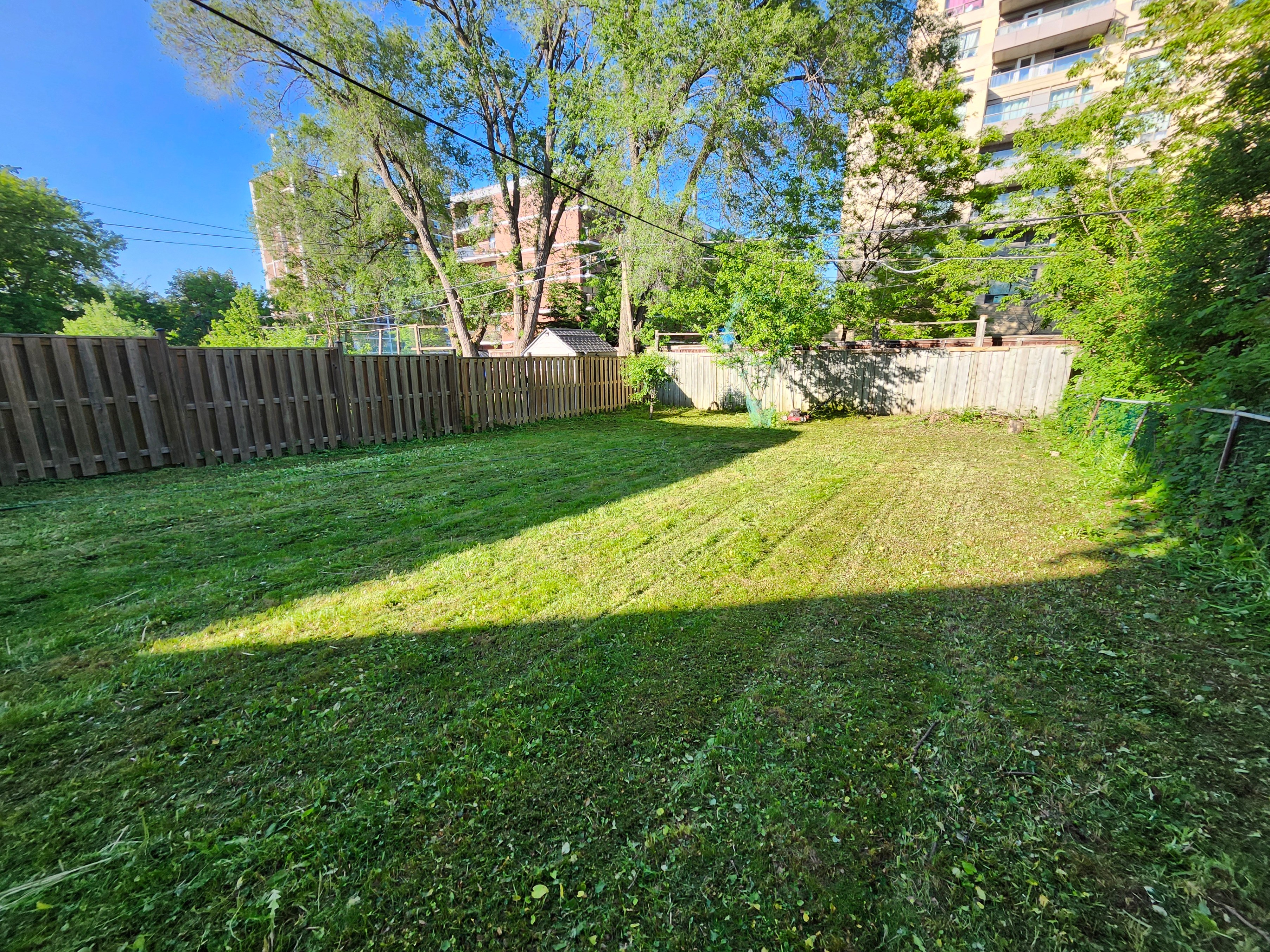 Student Lawn Mowing - photo 5