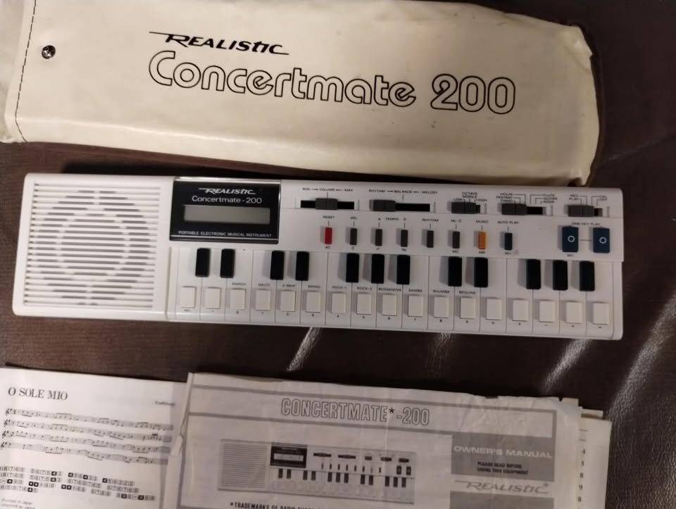 Vintage 80's Realistic Concertmate 200