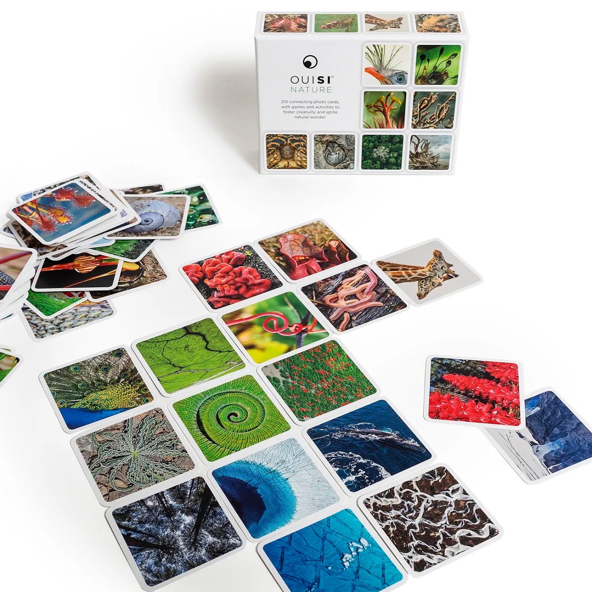 *NEW* OuiSi Nature Photo Cards Kids Creative Games Puzzles - photo 5