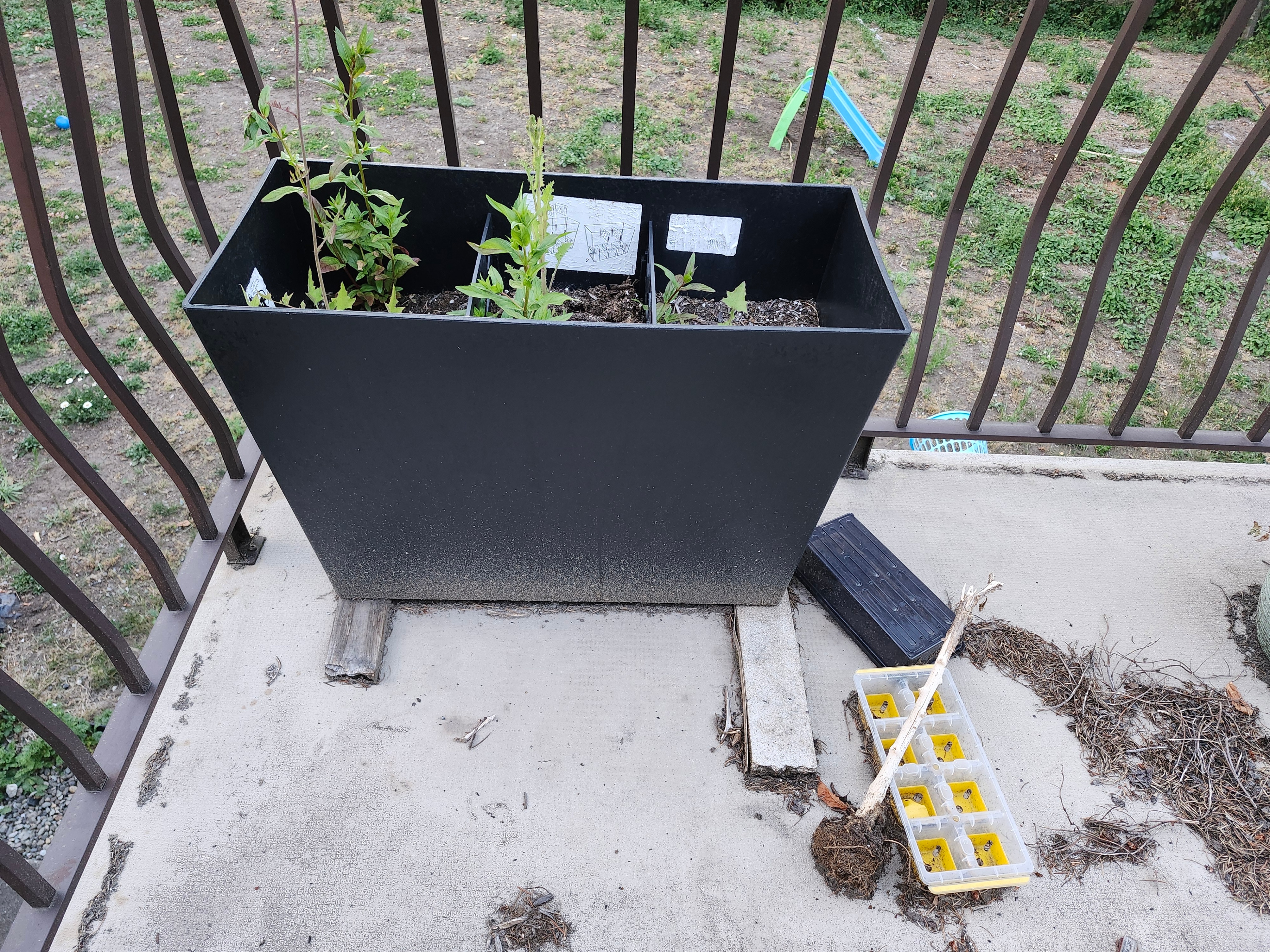 Gardening Bundle – Plants, Pots & More - photo 3